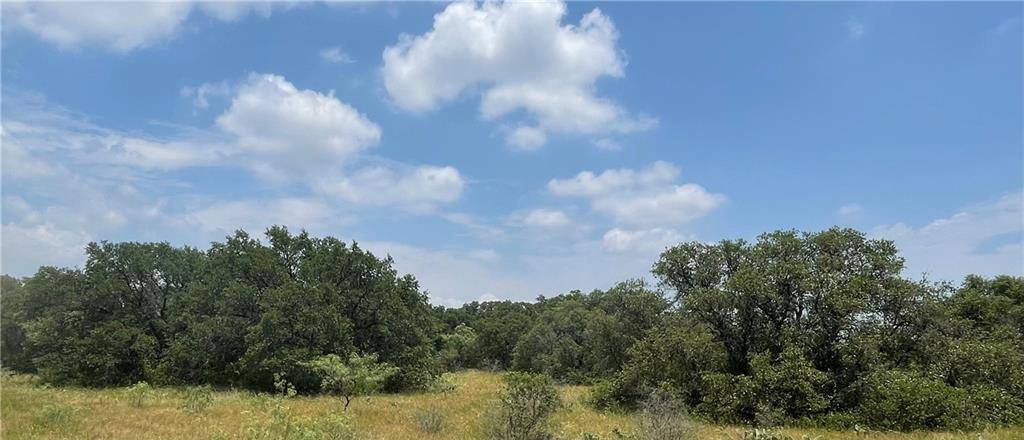 0 377 S. HWY, Brownwood, TX 76827