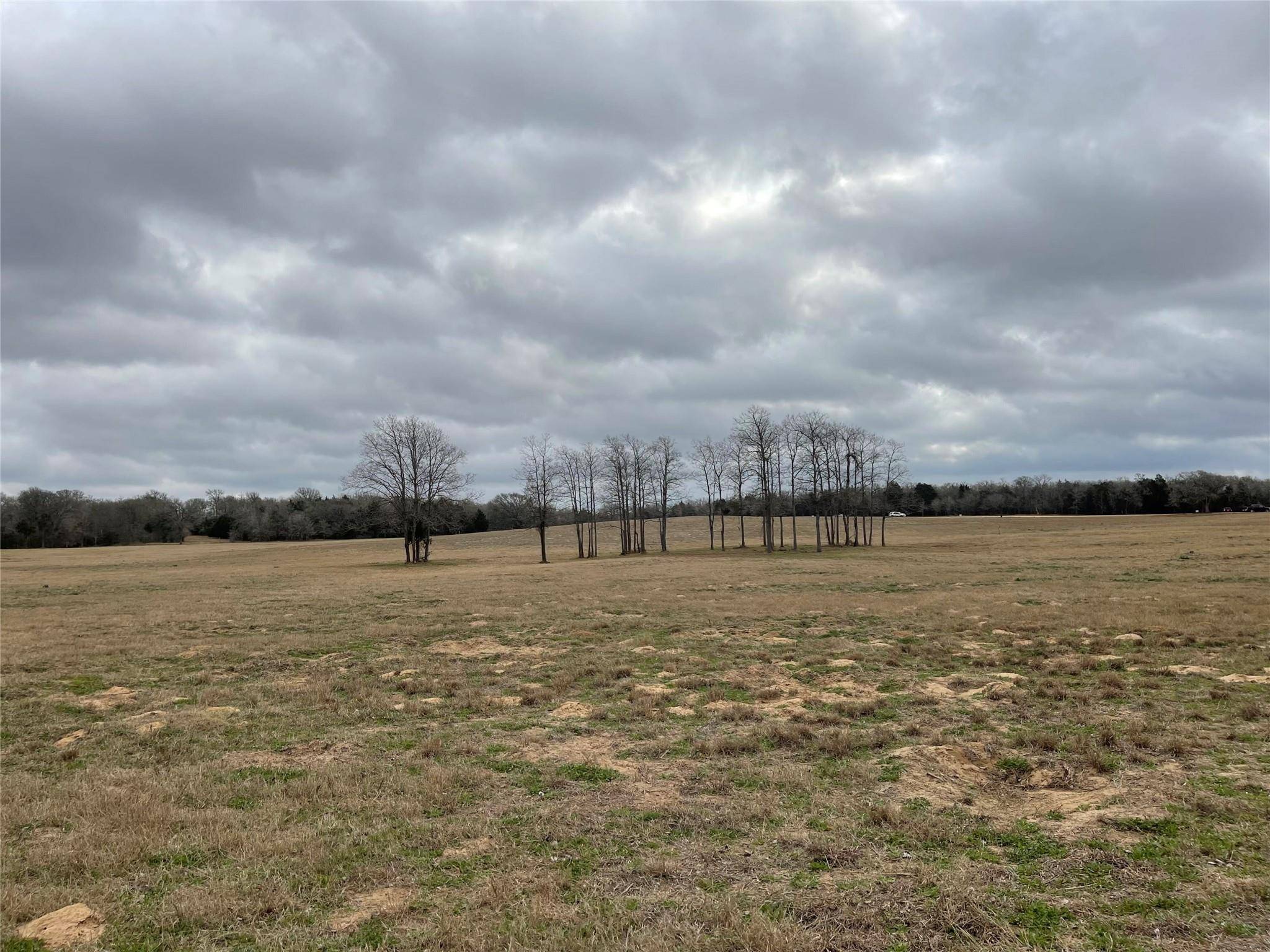 1498 Walleye Creek LN, Lexington, TX 78947