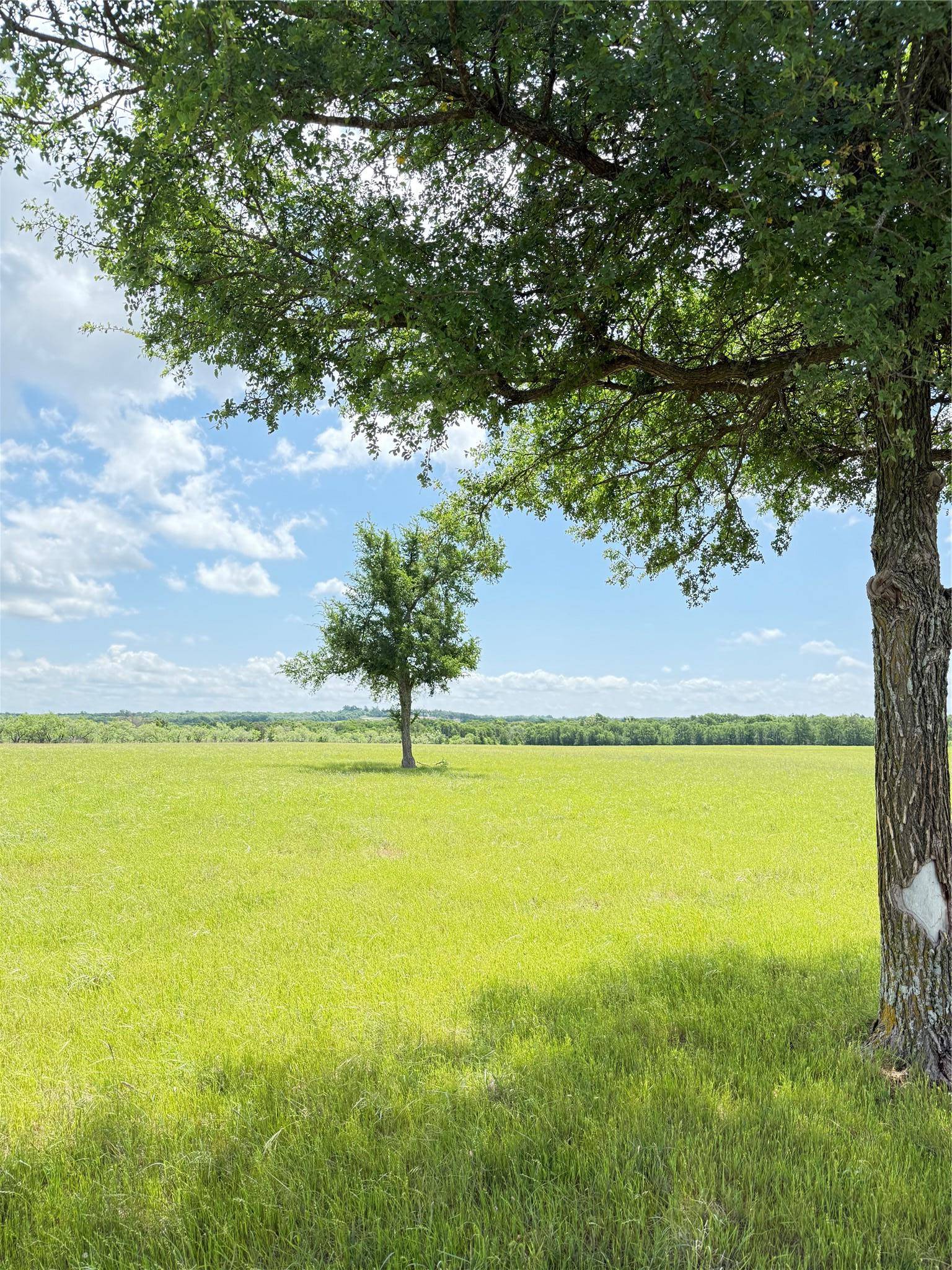 674 County Road 309, Rockdale, TX 76567