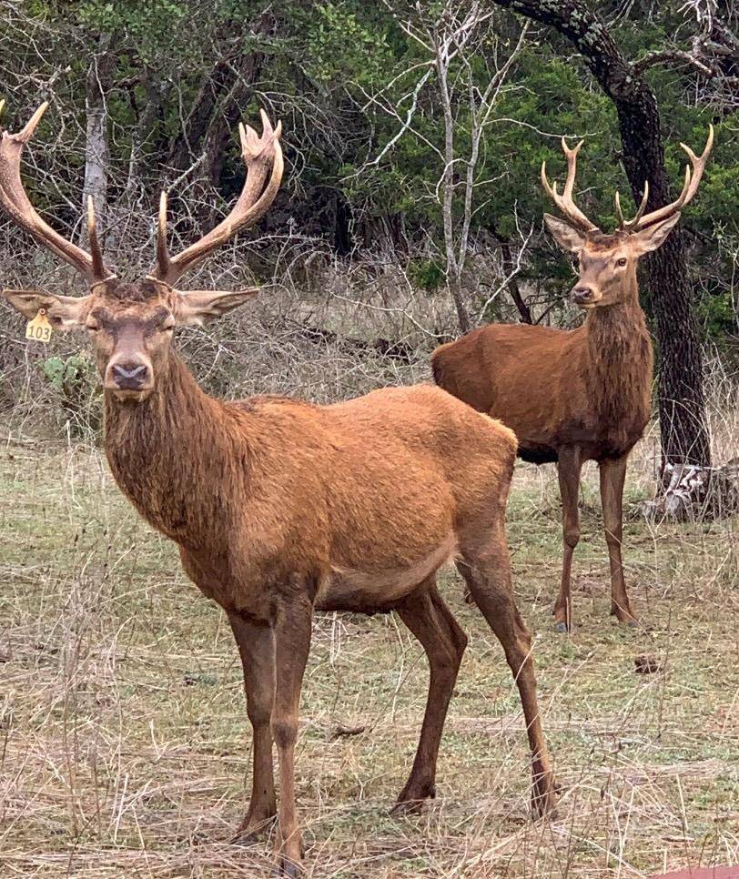 TBD 281 HWY, Lampasas, TX 76550