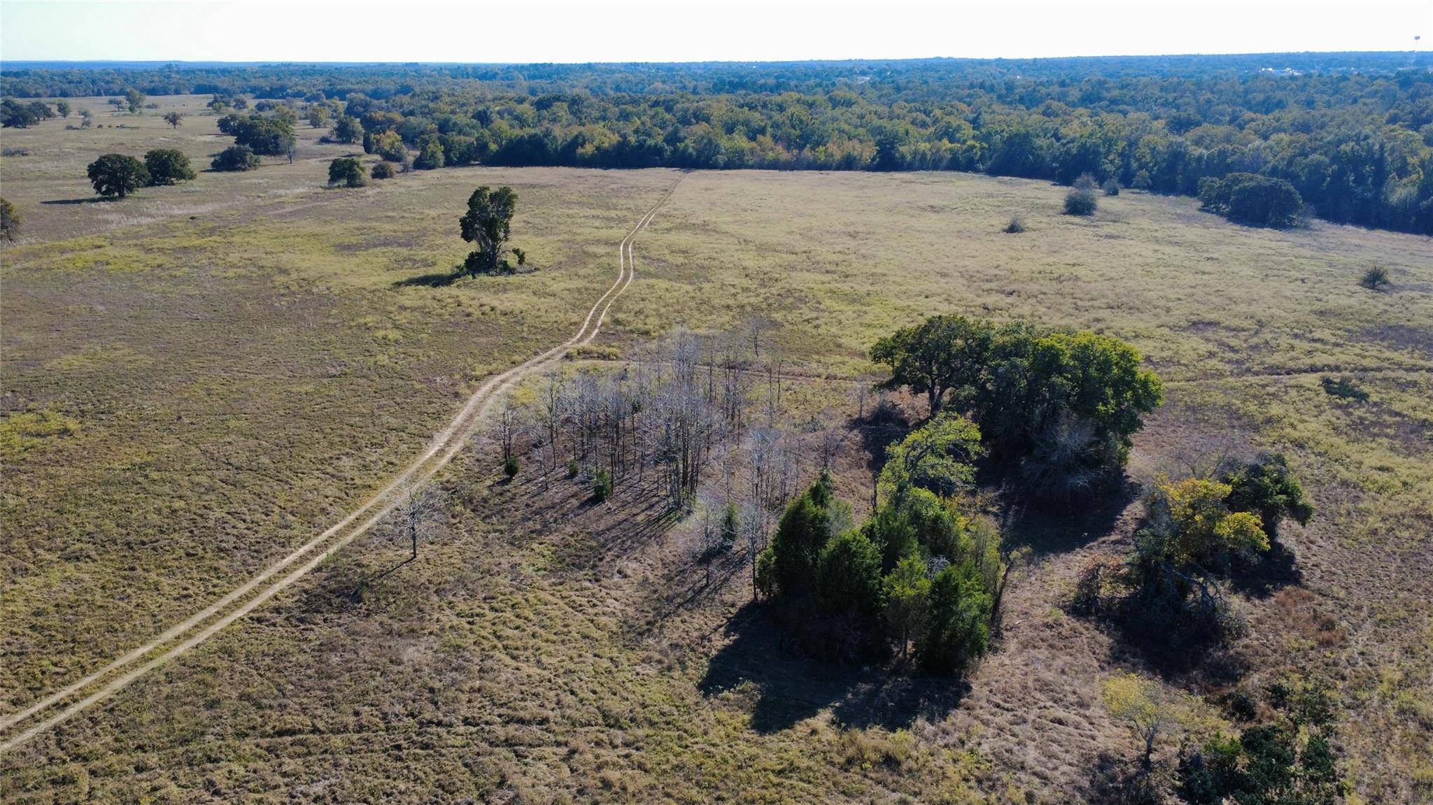 196 Brinkley LN, Elgin, TX 78621