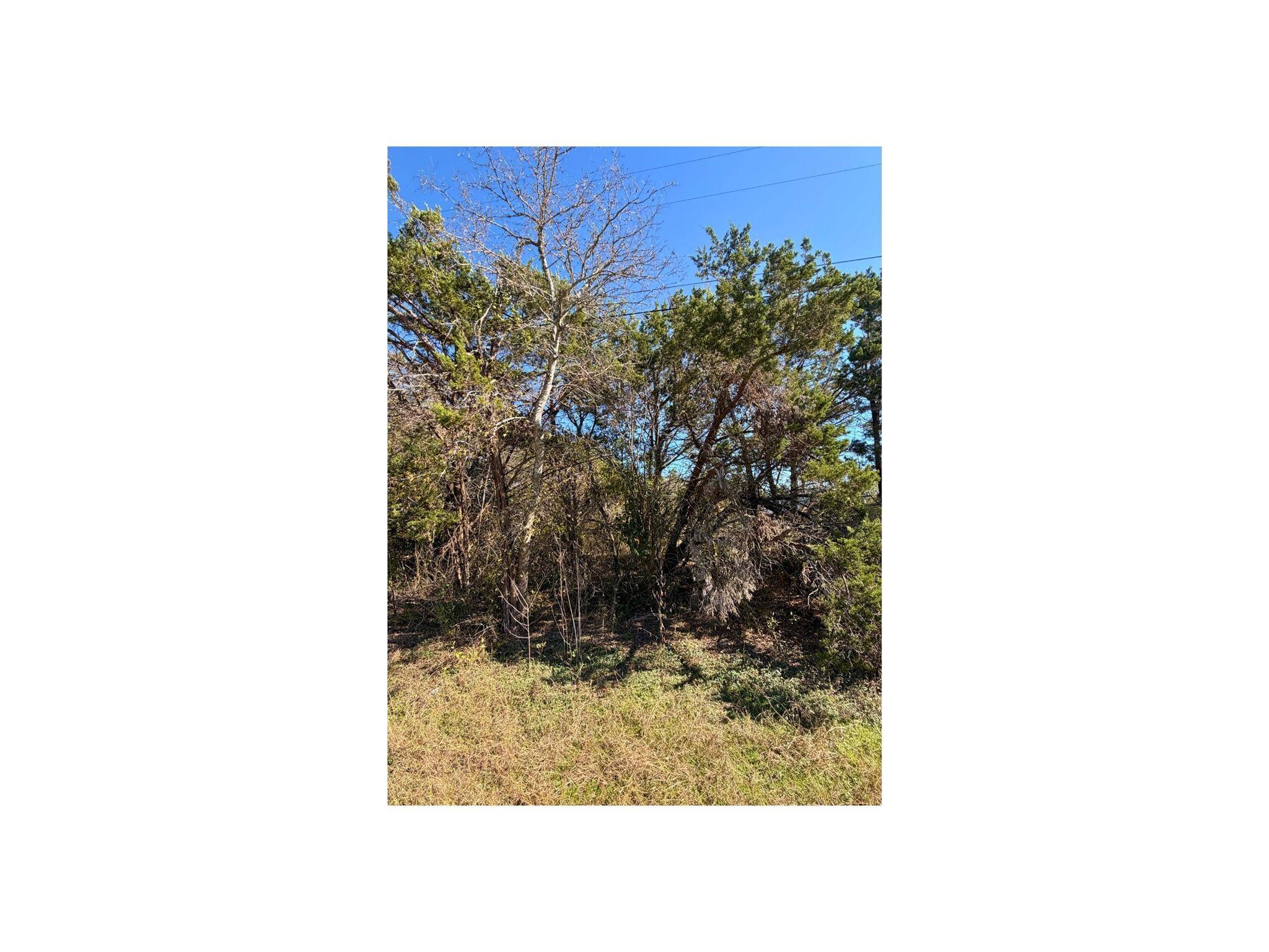 7401 Williamson Creek DR #2, Austin, TX 78736
