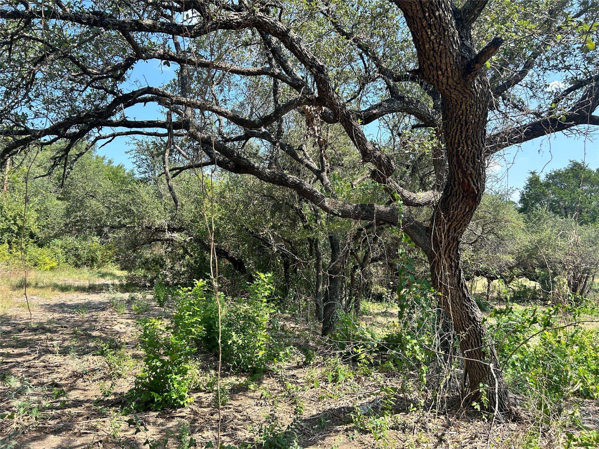 18310 Austin DR, Jonestown, TX 78645
