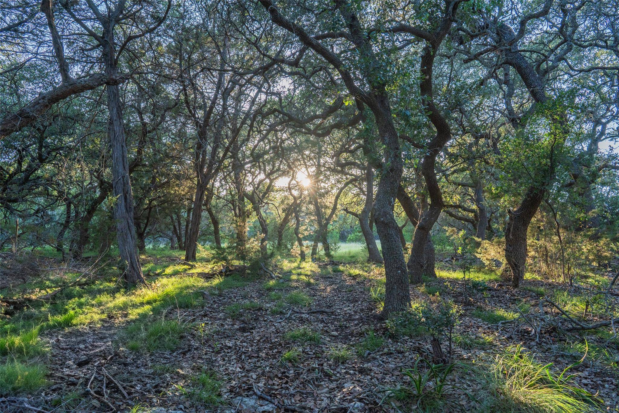 TBD Crabapple RD, Blanco, TX 78606