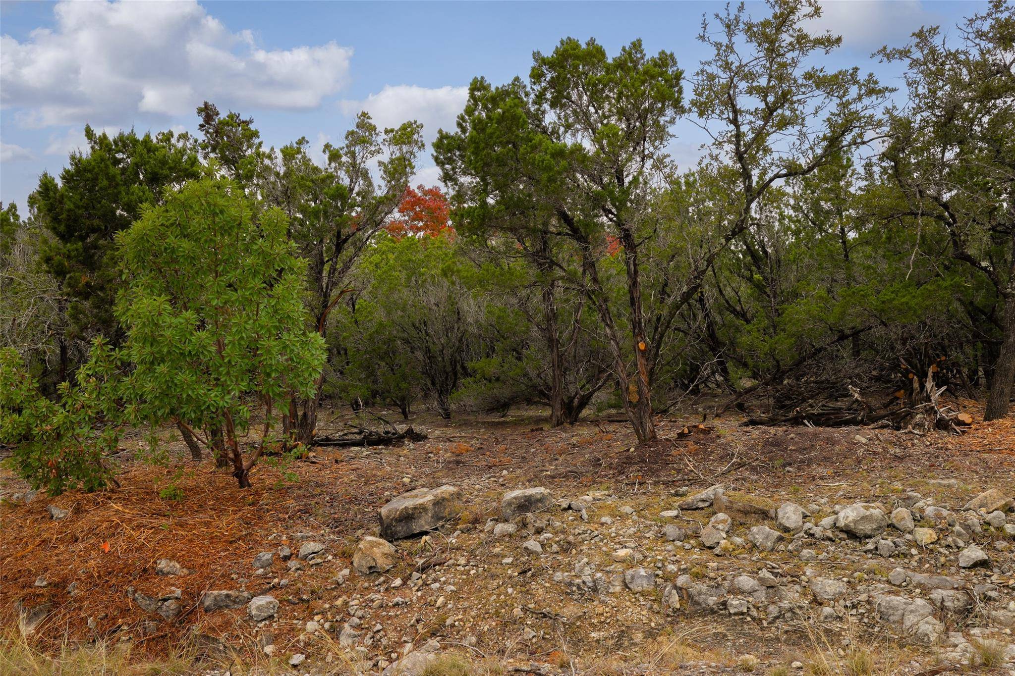 TBD Stagecoach Ranch LOOP, Dripping Springs, TX 78620