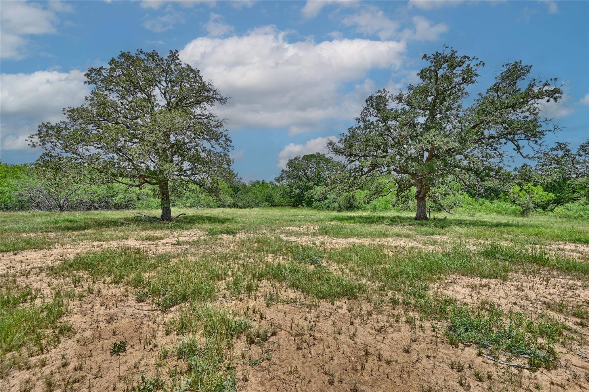 159 Starlight Path, Red Rock, TX 78662