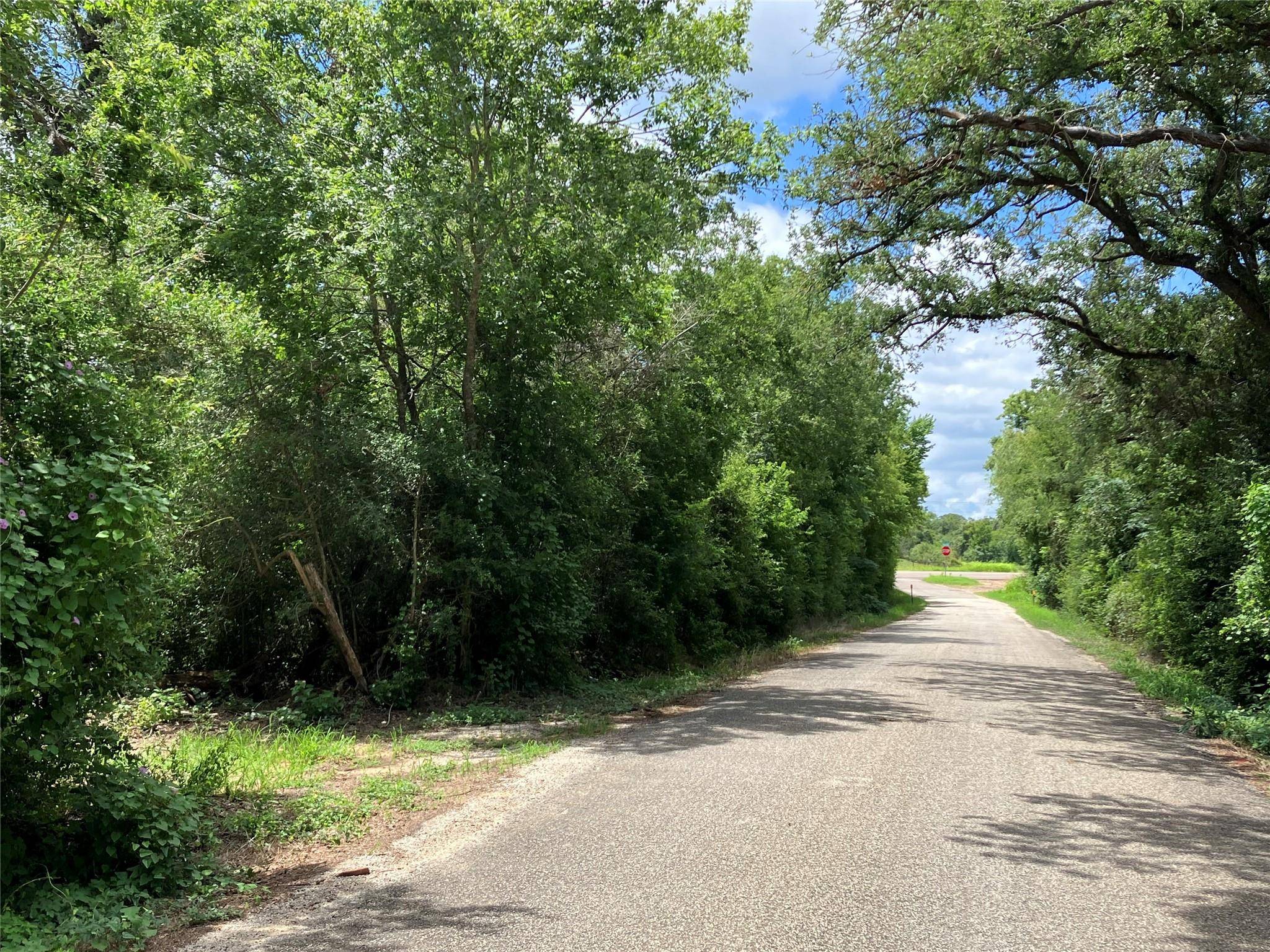 693 Saint Mary's RD, Rosanky, TX 78953