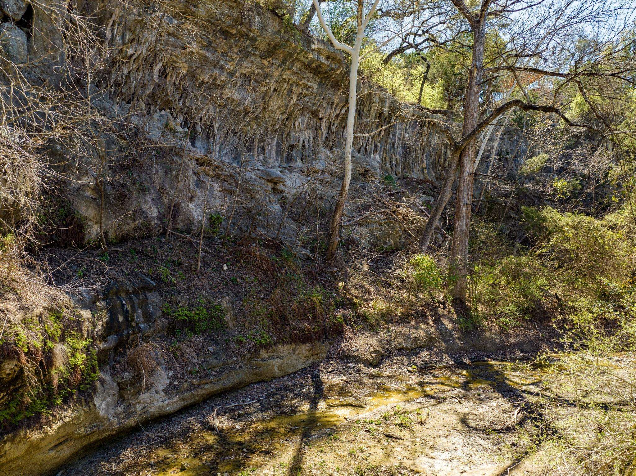 4501 Little Creek TRL, Spicewood, TX 78669