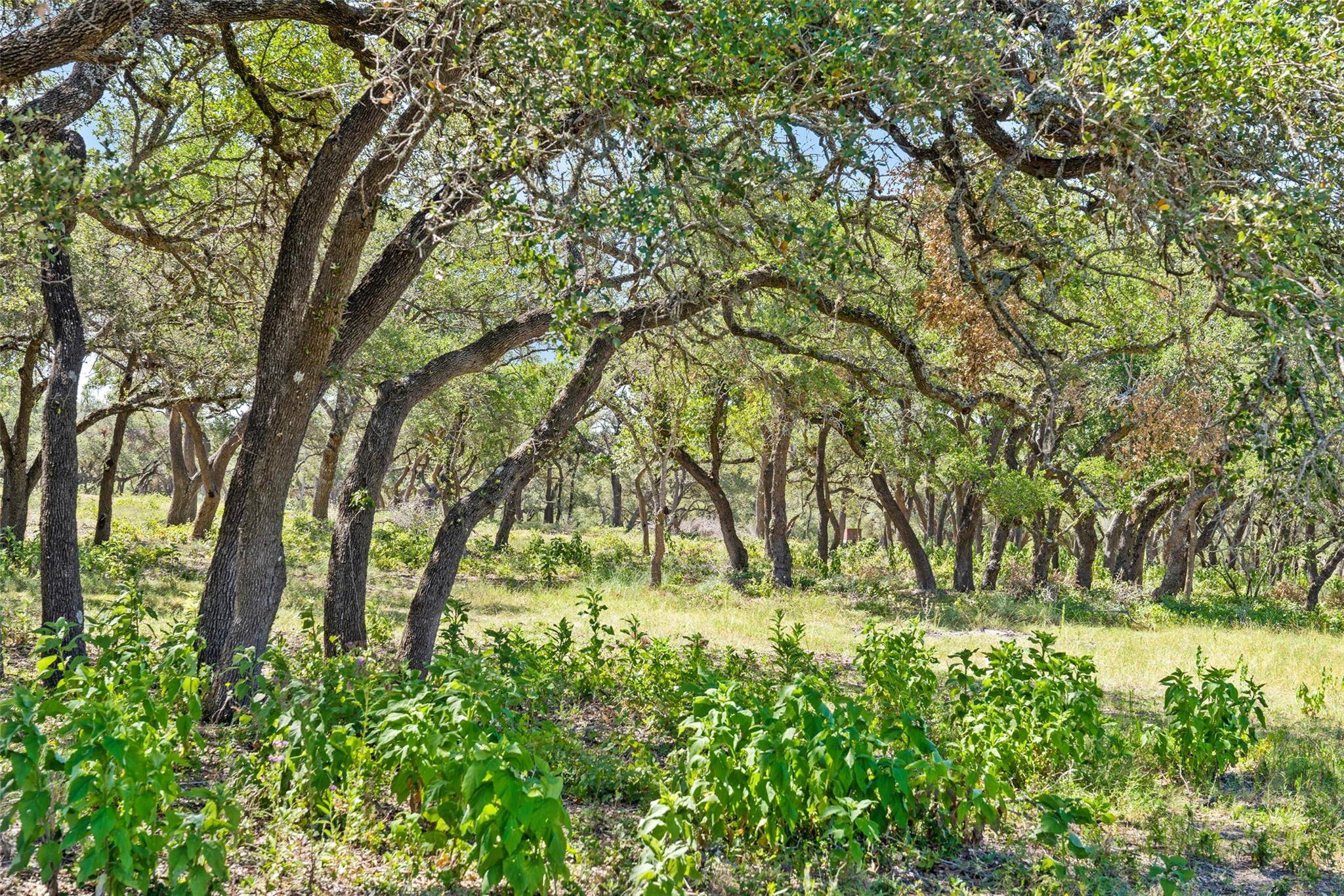 Tract 12 LewDele LN, Blanco, TX 78671