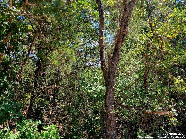 TBD Dale RD, Dale, TX 78616