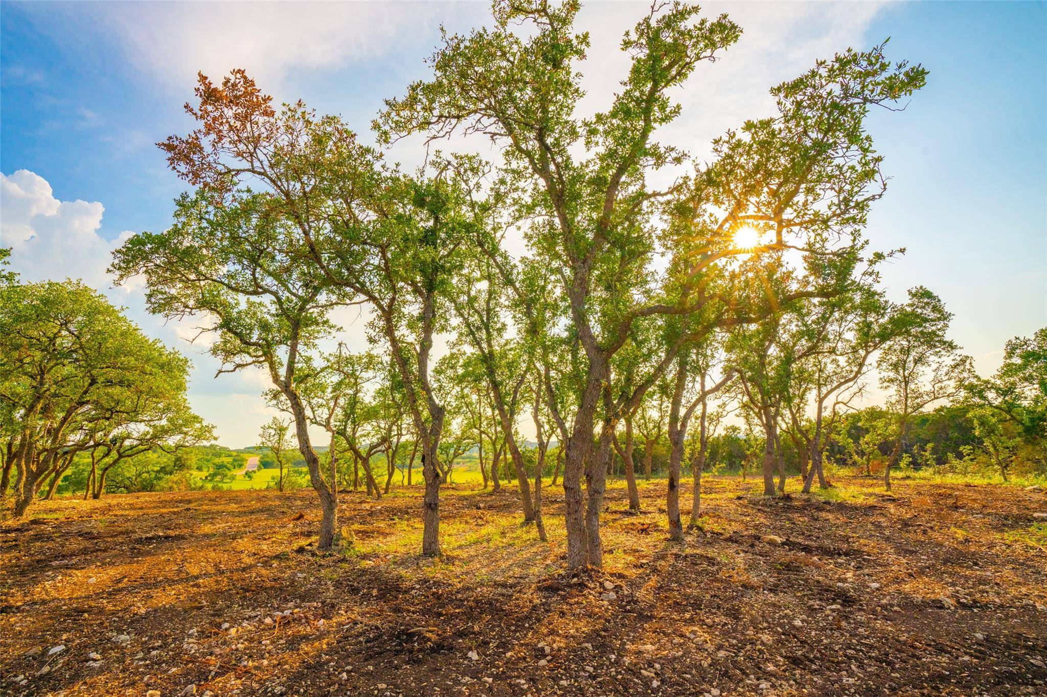 Address not disclosed, Dripping Springs, TX 78676