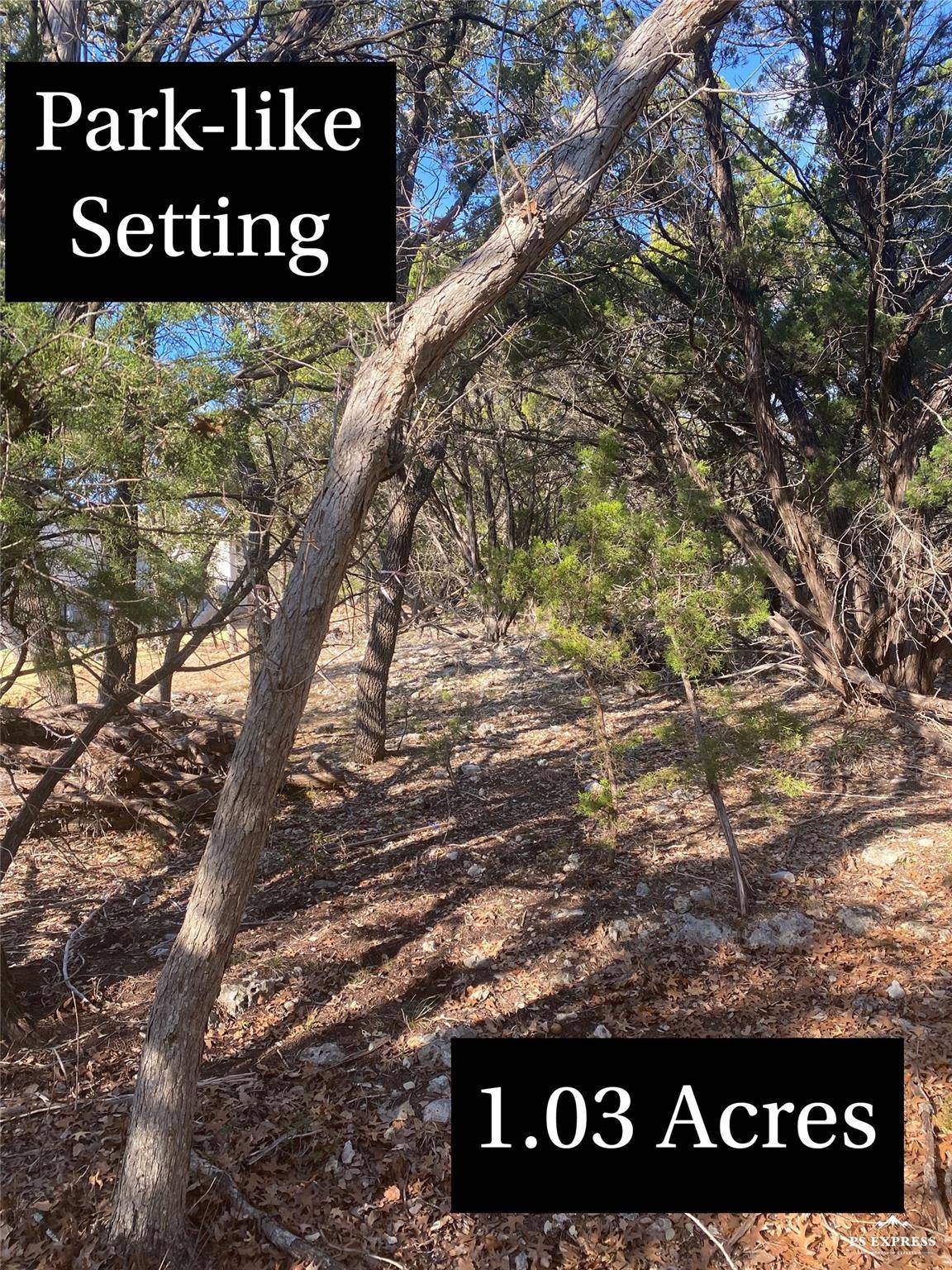 17601 Hunters HOLW, Jonestown, TX 78645