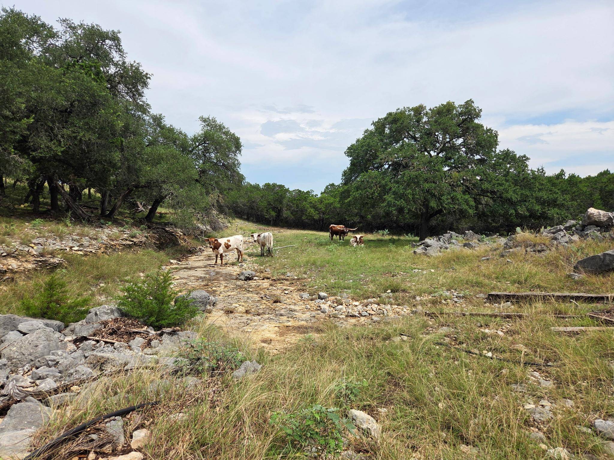 27846 Natural Bridge Caverns RD, San Antonio, TX 78266