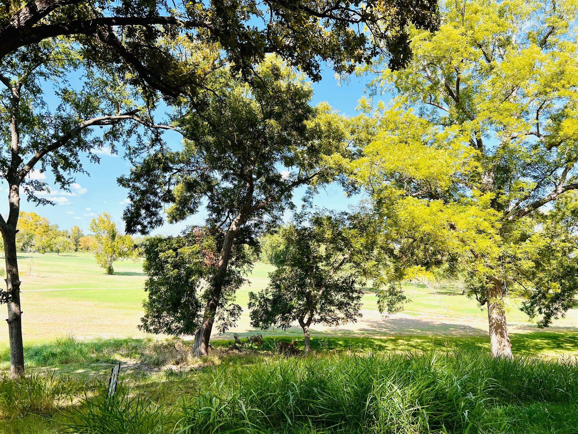 TBD Country Club CT, La Grange, TX 78945