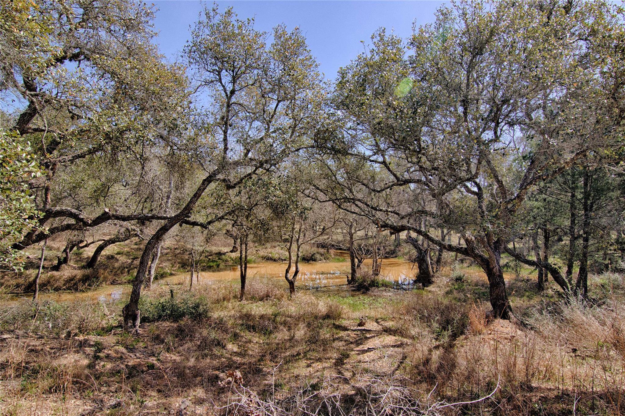 265 Wigeon LN, Columbus, TX 78934