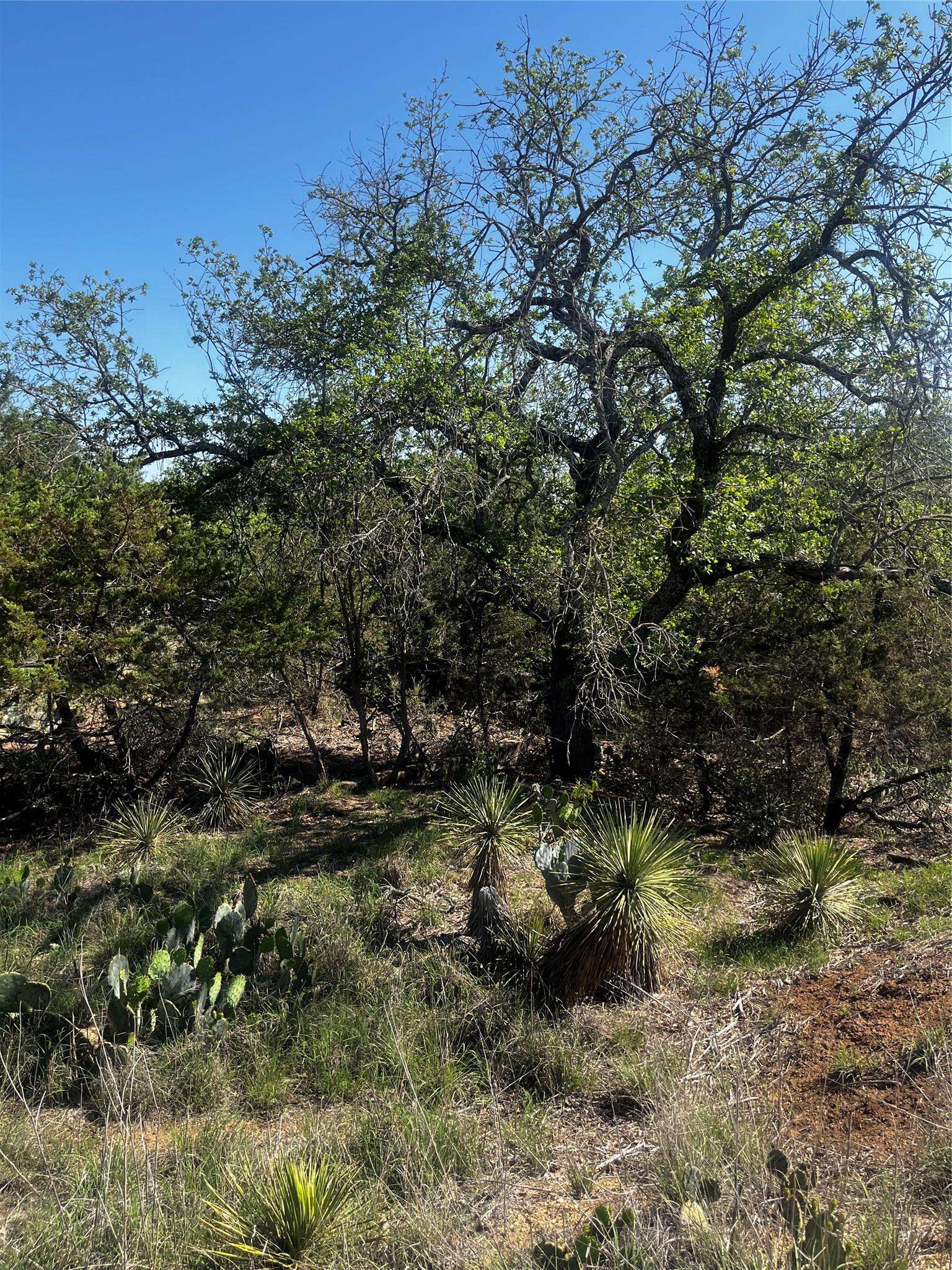 0 Castlebriar ST, Granite Shoals, TX 78654