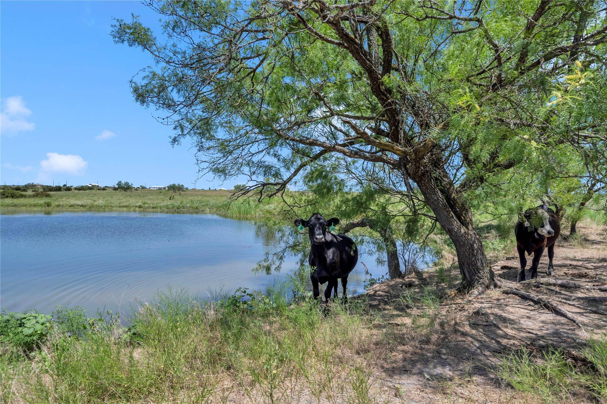 10600 County Road 210 RD, Bertram, TX 78605