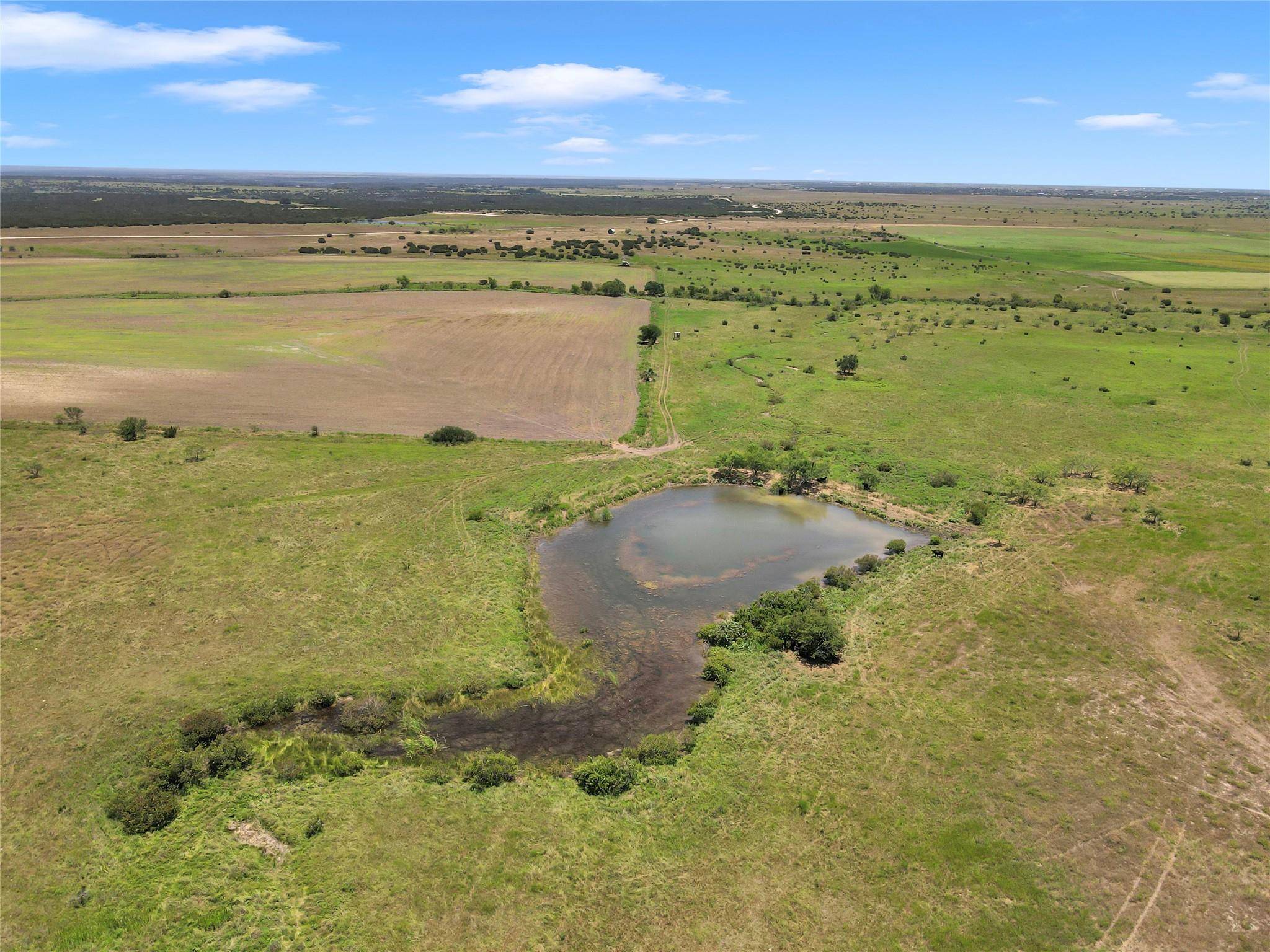 10600 County Road 210 RD, Bertram, TX 78605