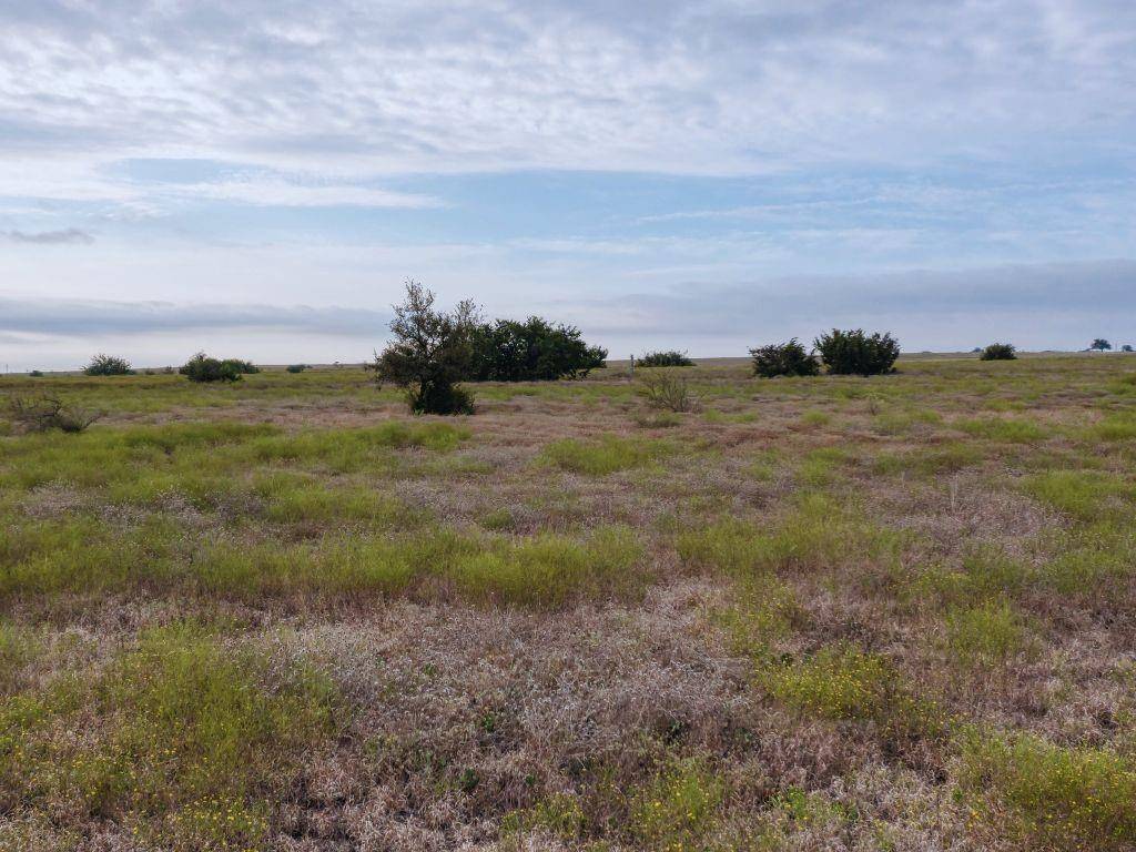 Address not disclosed, Salado, TX 76571