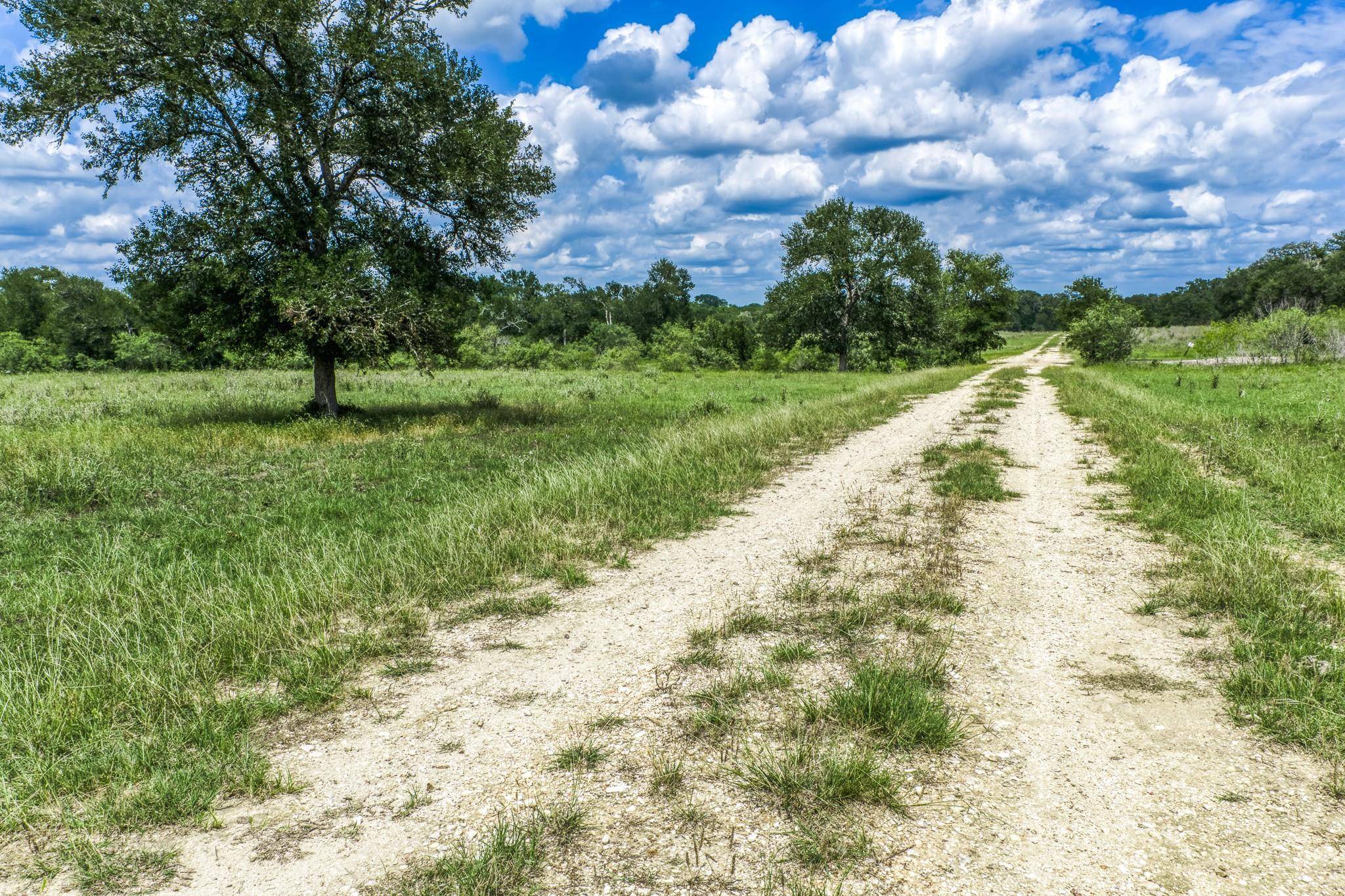 TBD(+/- 237.91 AC) HWY 36 S, Caldwell, TX 77836