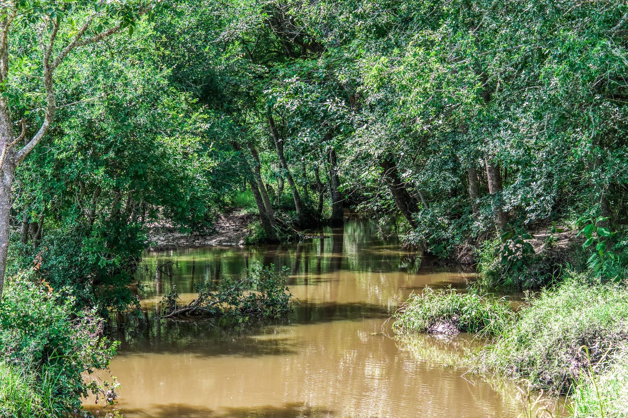 TBD(+/- 237.91 AC) HWY 36 S, Caldwell, TX 77836
