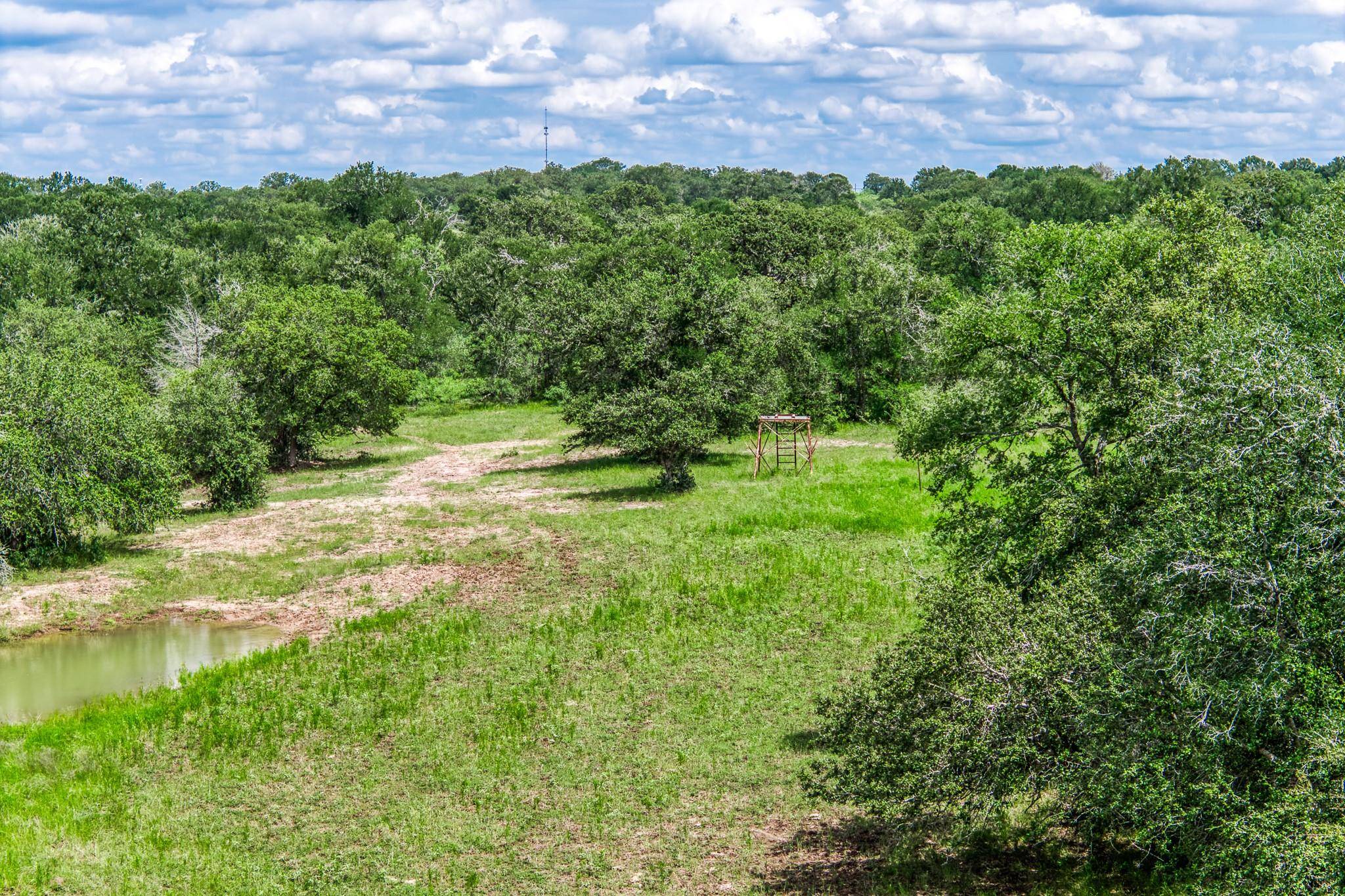 TBD(+/- 237.91 AC) HWY 36 S, Caldwell, TX 77836