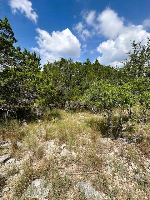 TBD LOT 2 Soaring Eagle DR, Fischer, TX 78623