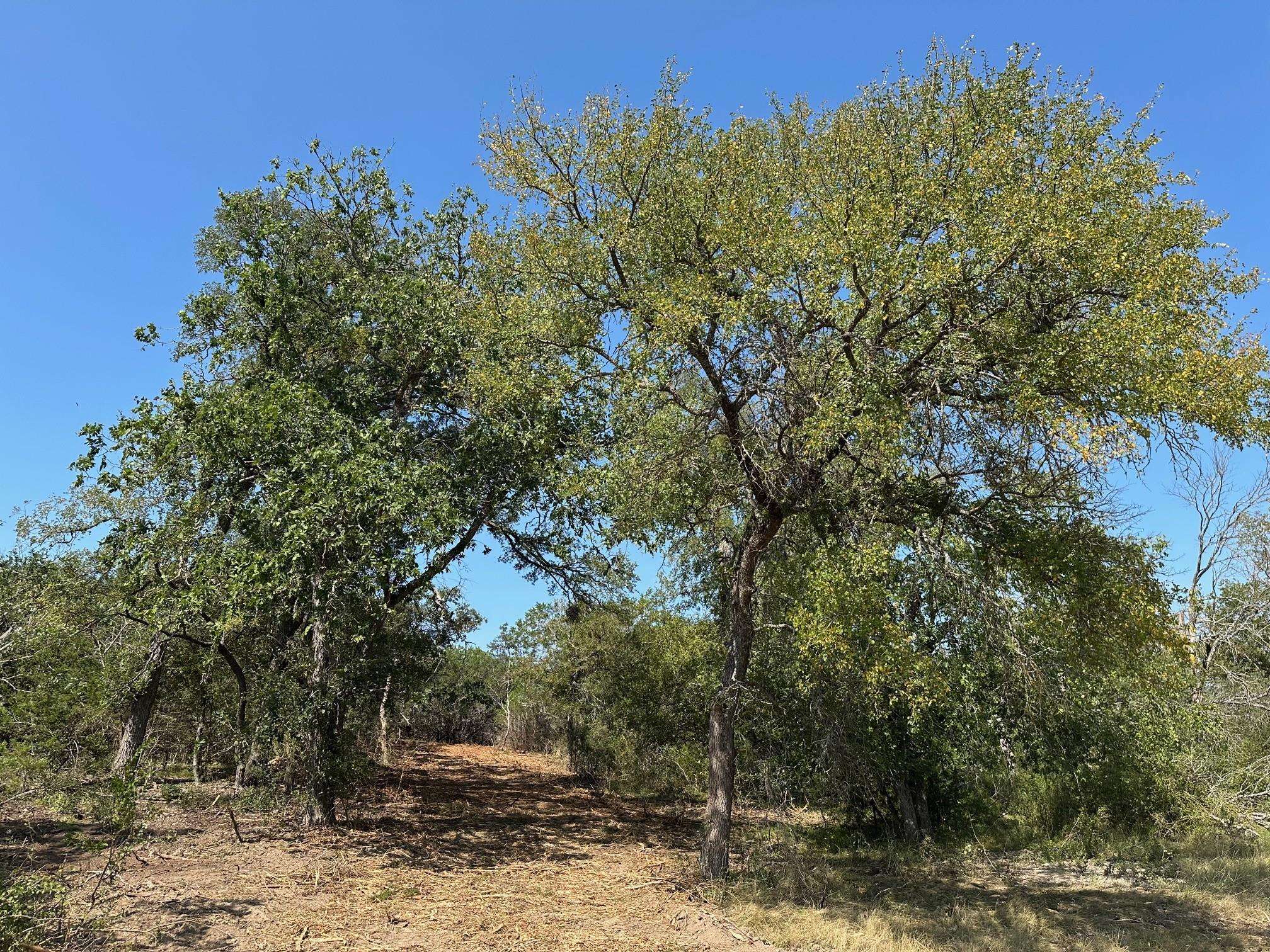 105 Winding River RD, Kempner, TX 76539