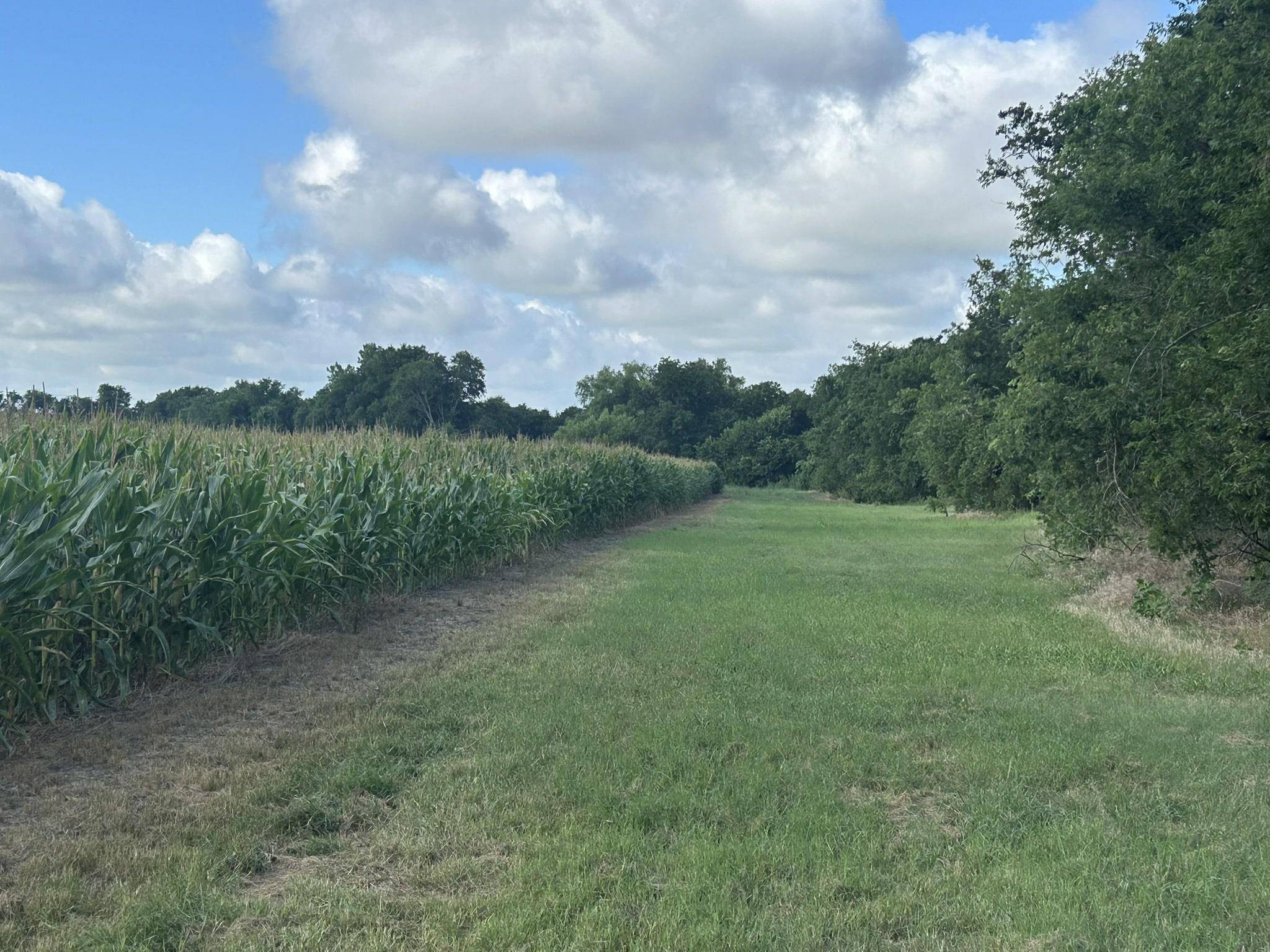 TBD Apple Cider RD, Temple, TX 76501