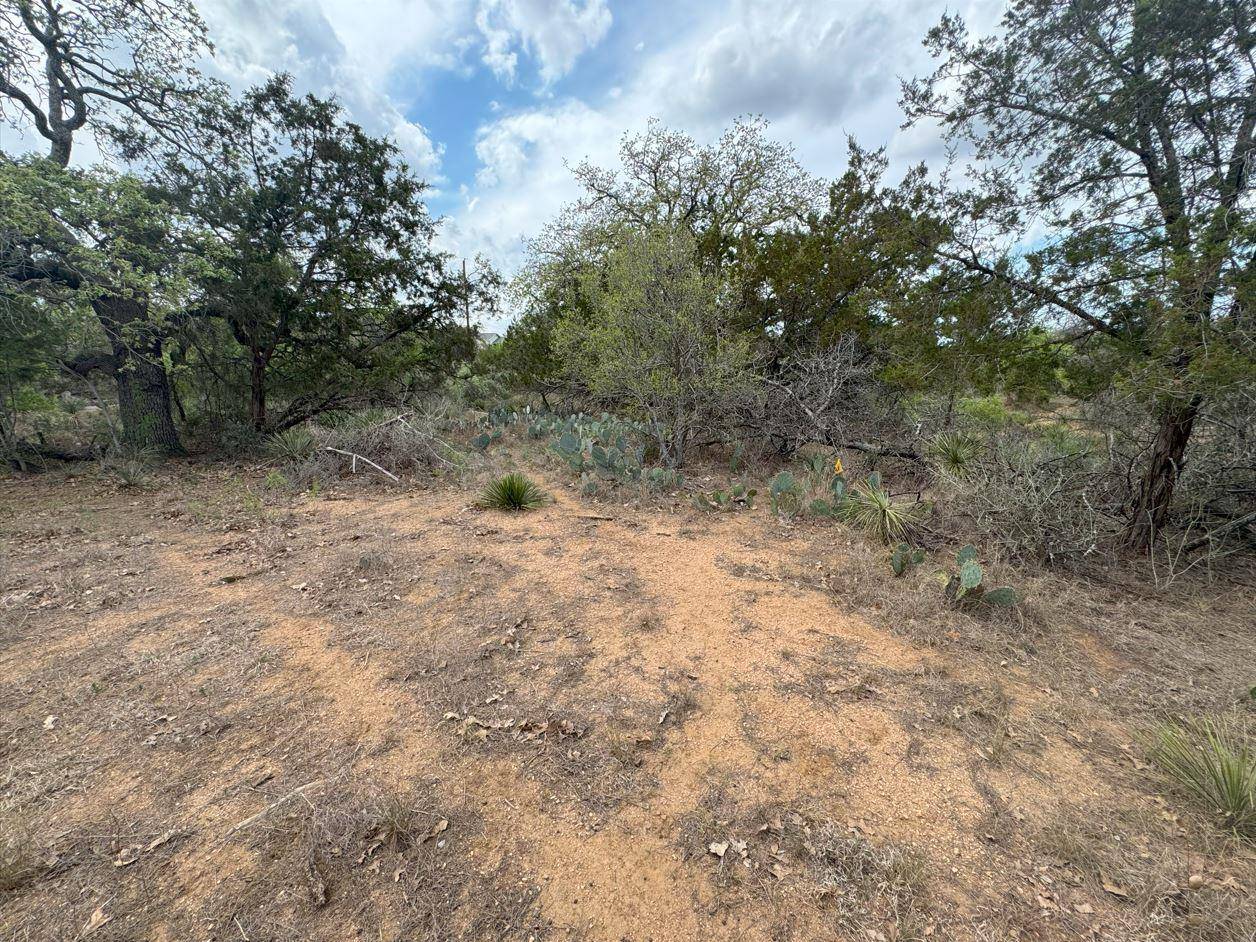 Lot 260 W Briarway DR, Granite Shoals, TX 78654