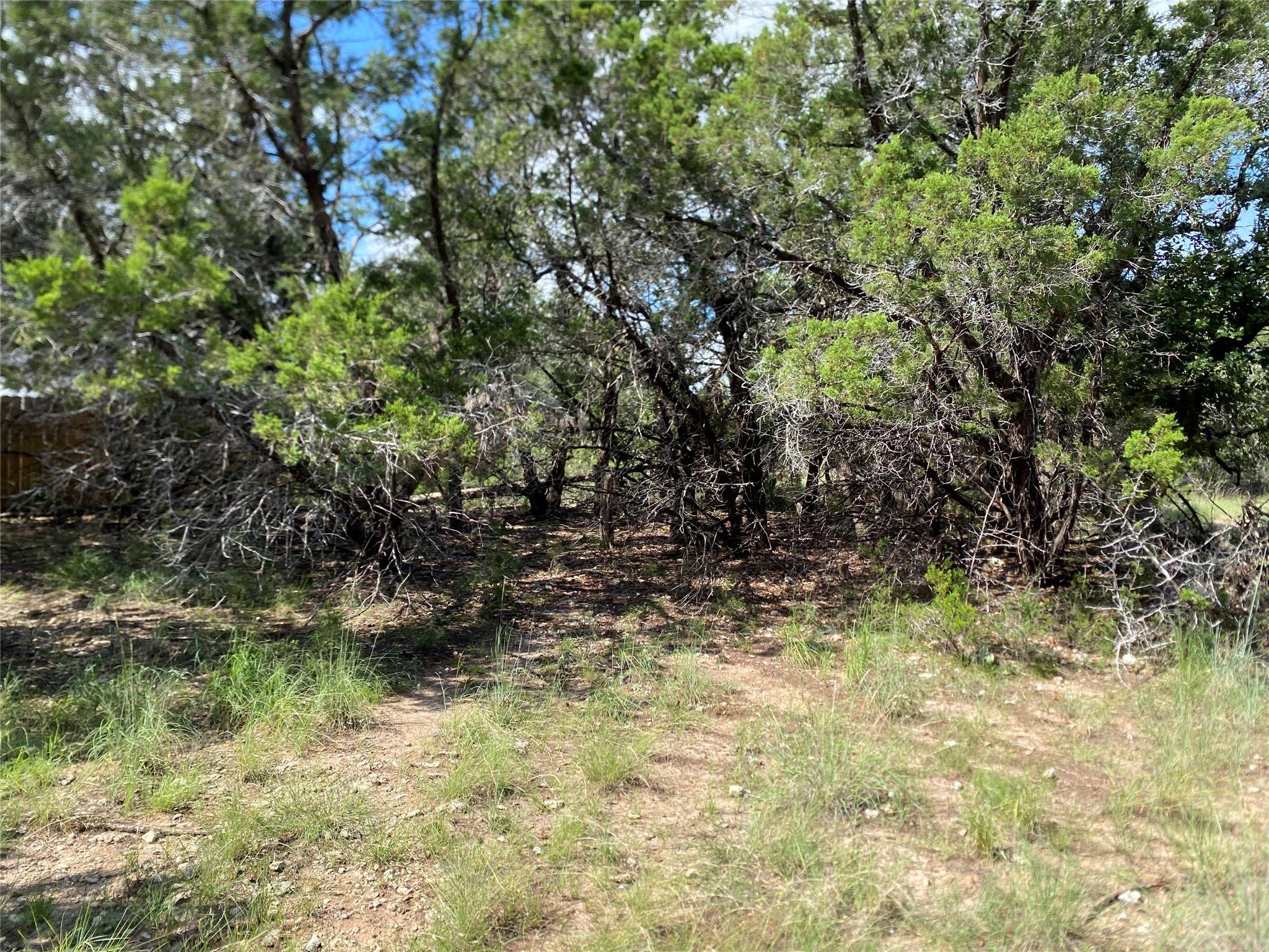 21105 Santa Rosa Ave, Lago Vista, TX 78645