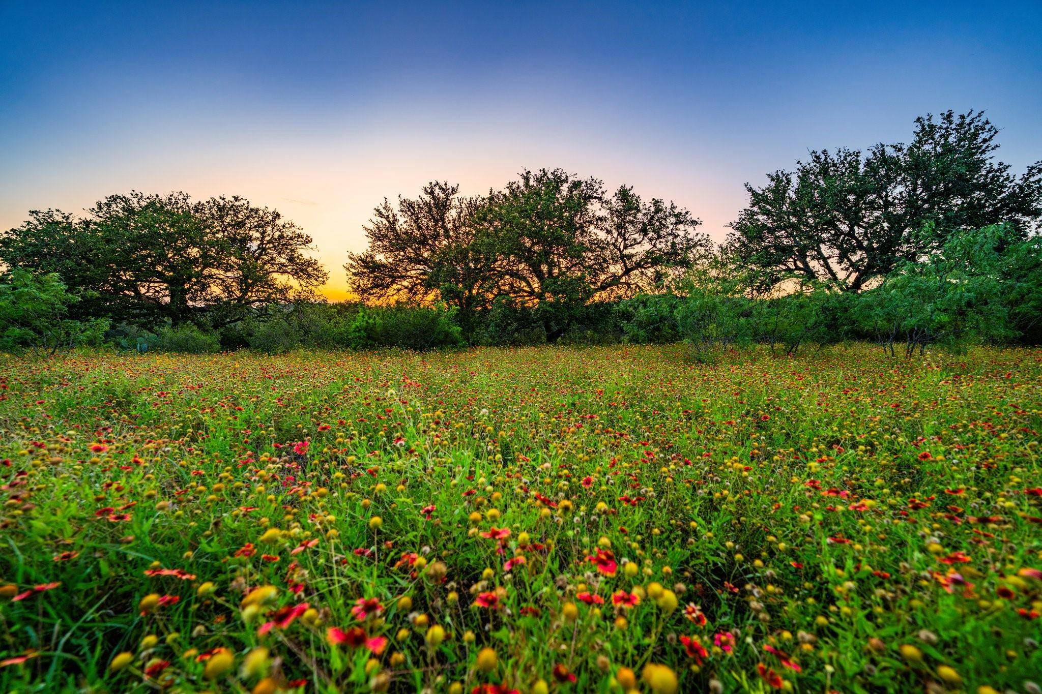 9738 E FM 1431, Marble Falls, TX 78654