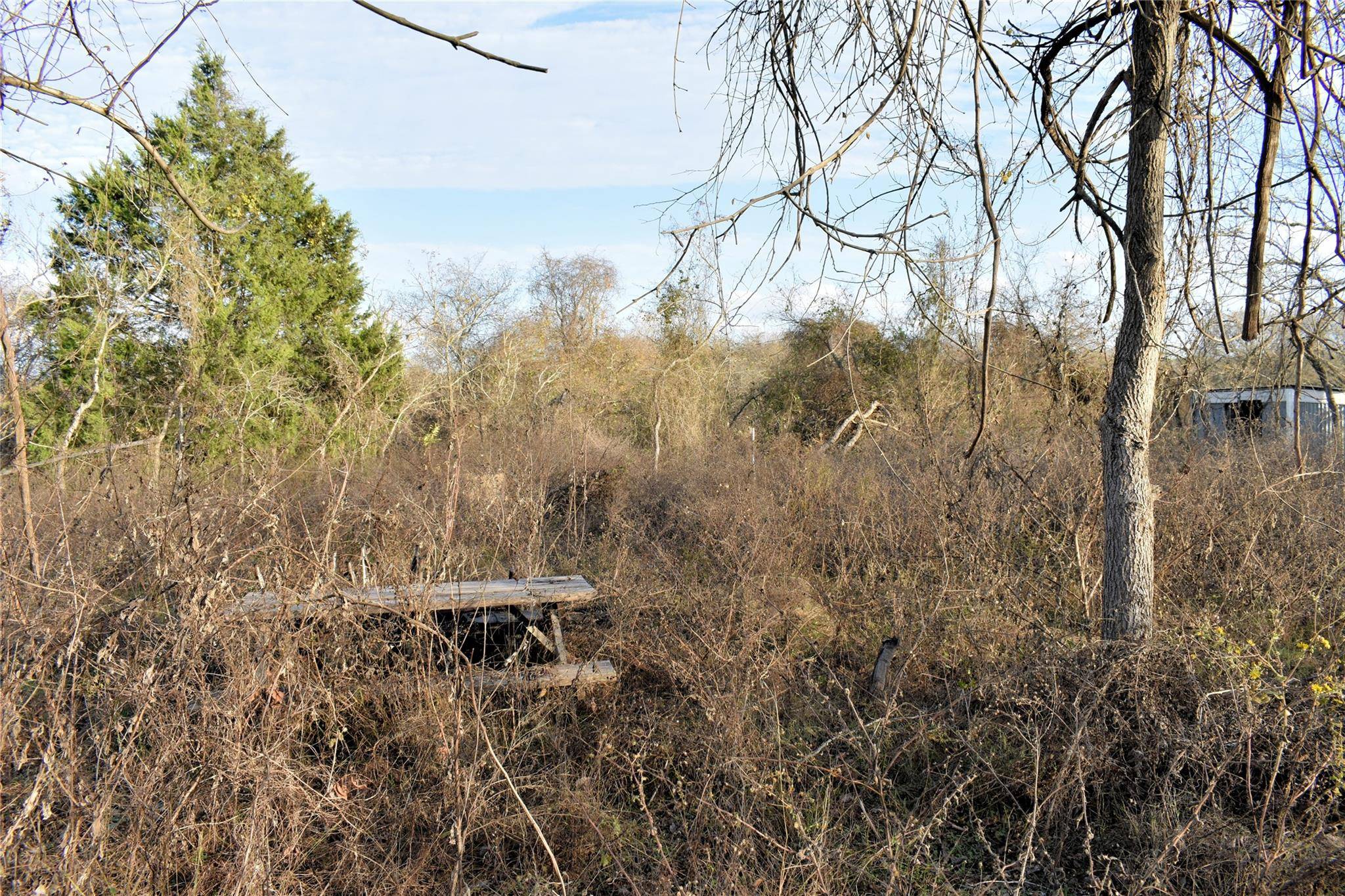 TBD Young RD, Smithville, TX 78957