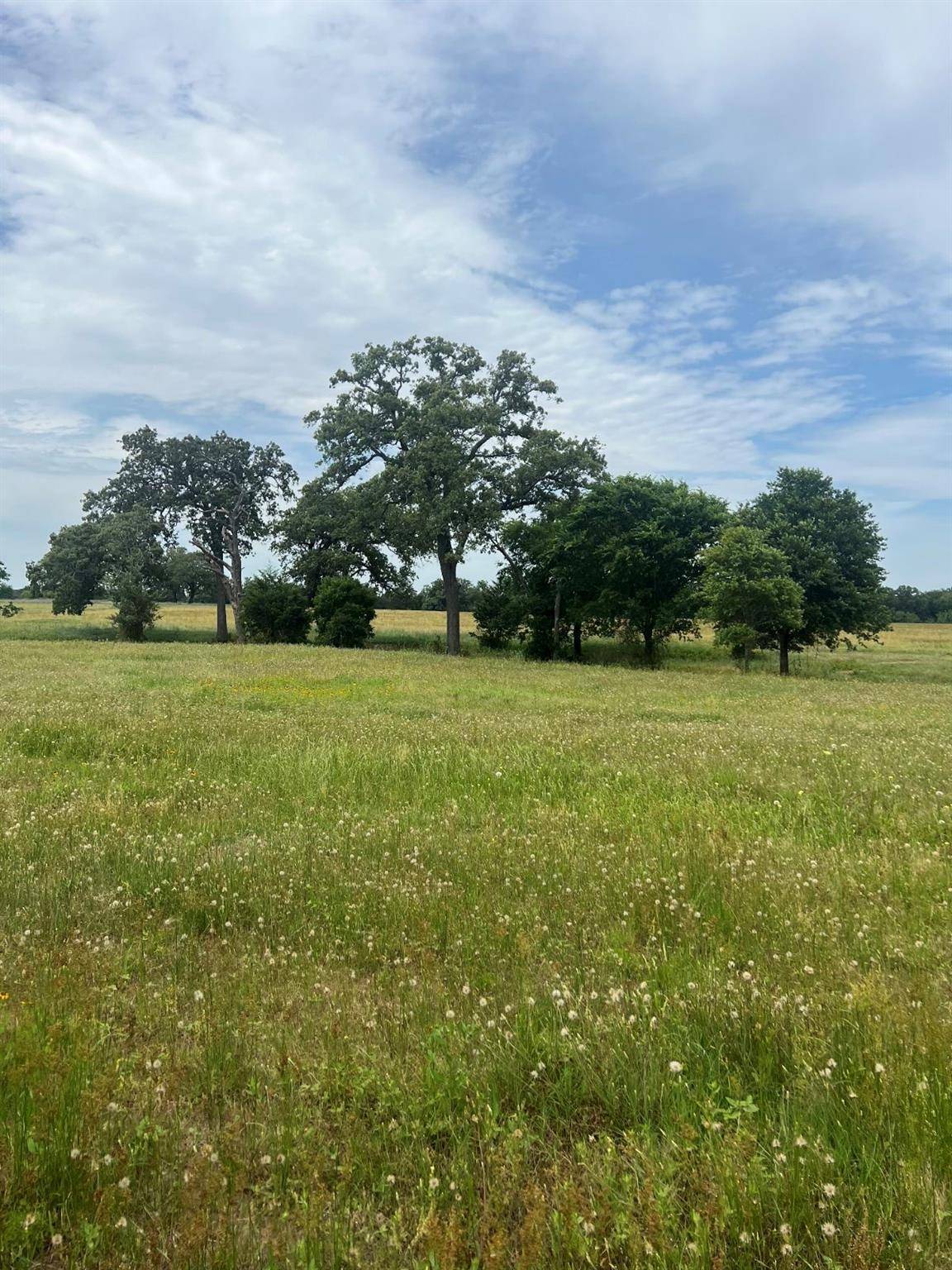 TBD2 Davis RD, Smithville, TX 78957