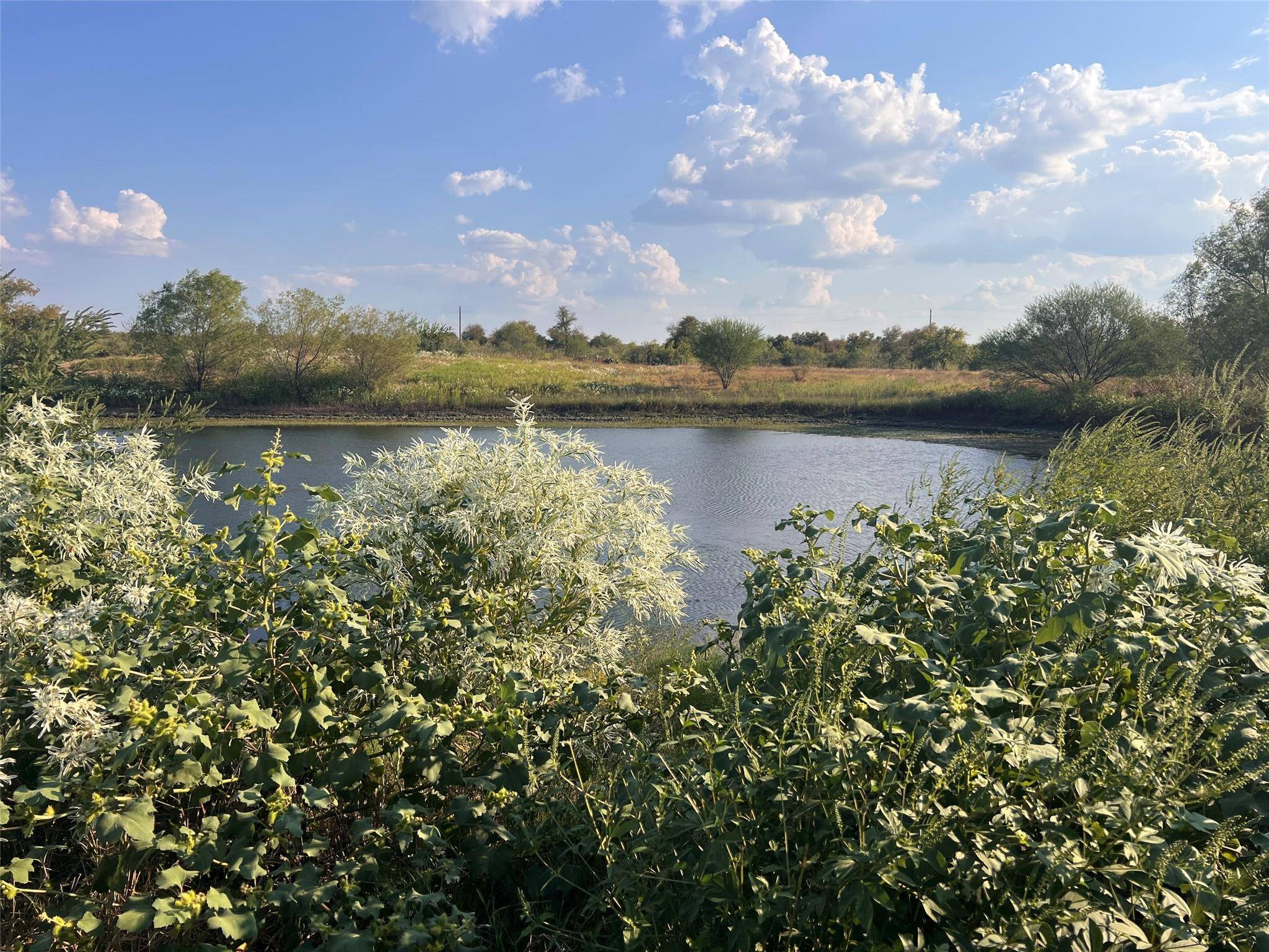 3191 County Road 463, Elgin, TX 78621