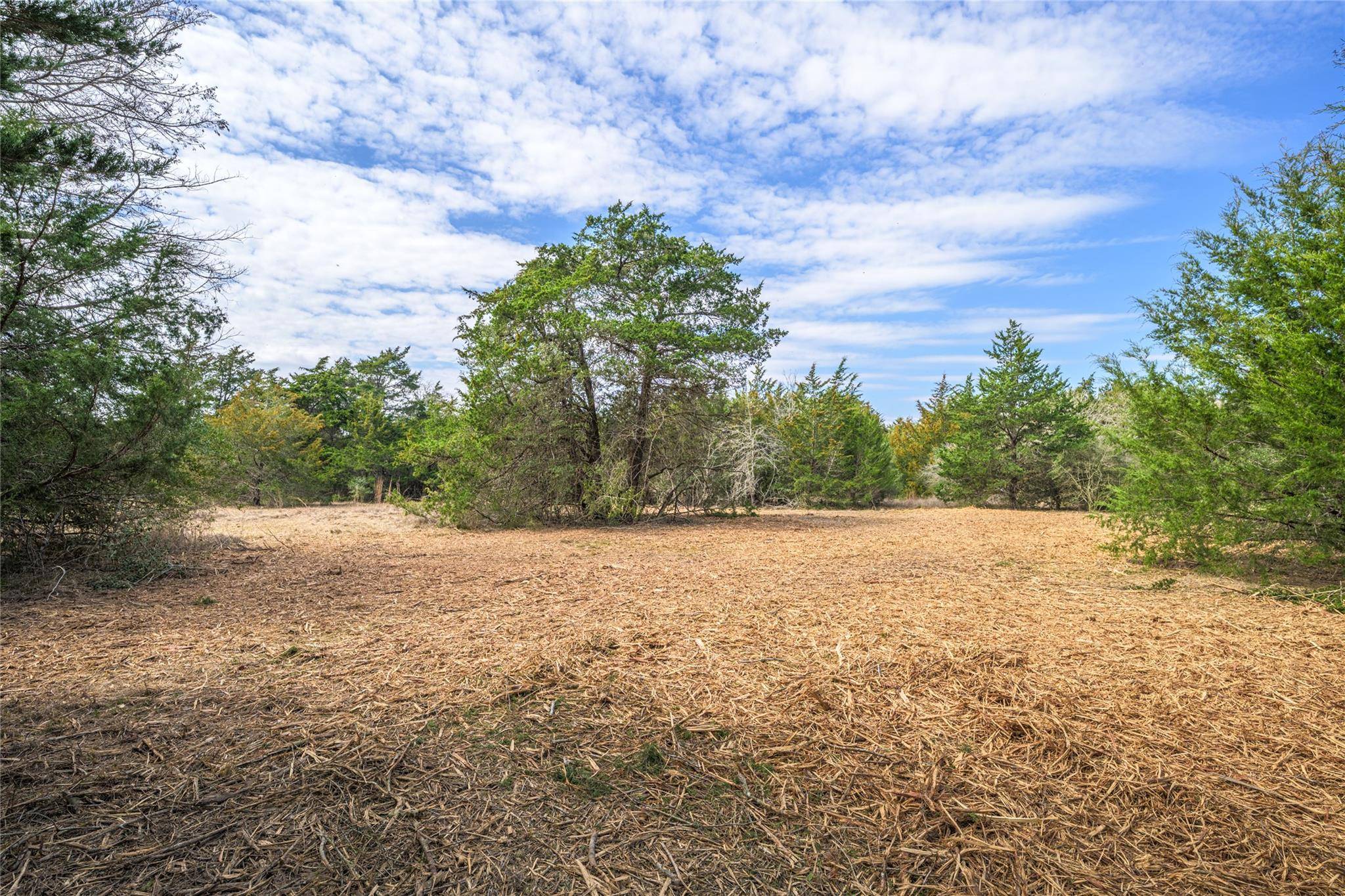 TBD (LOT 4) Independence ST, Carmine, TX 78932