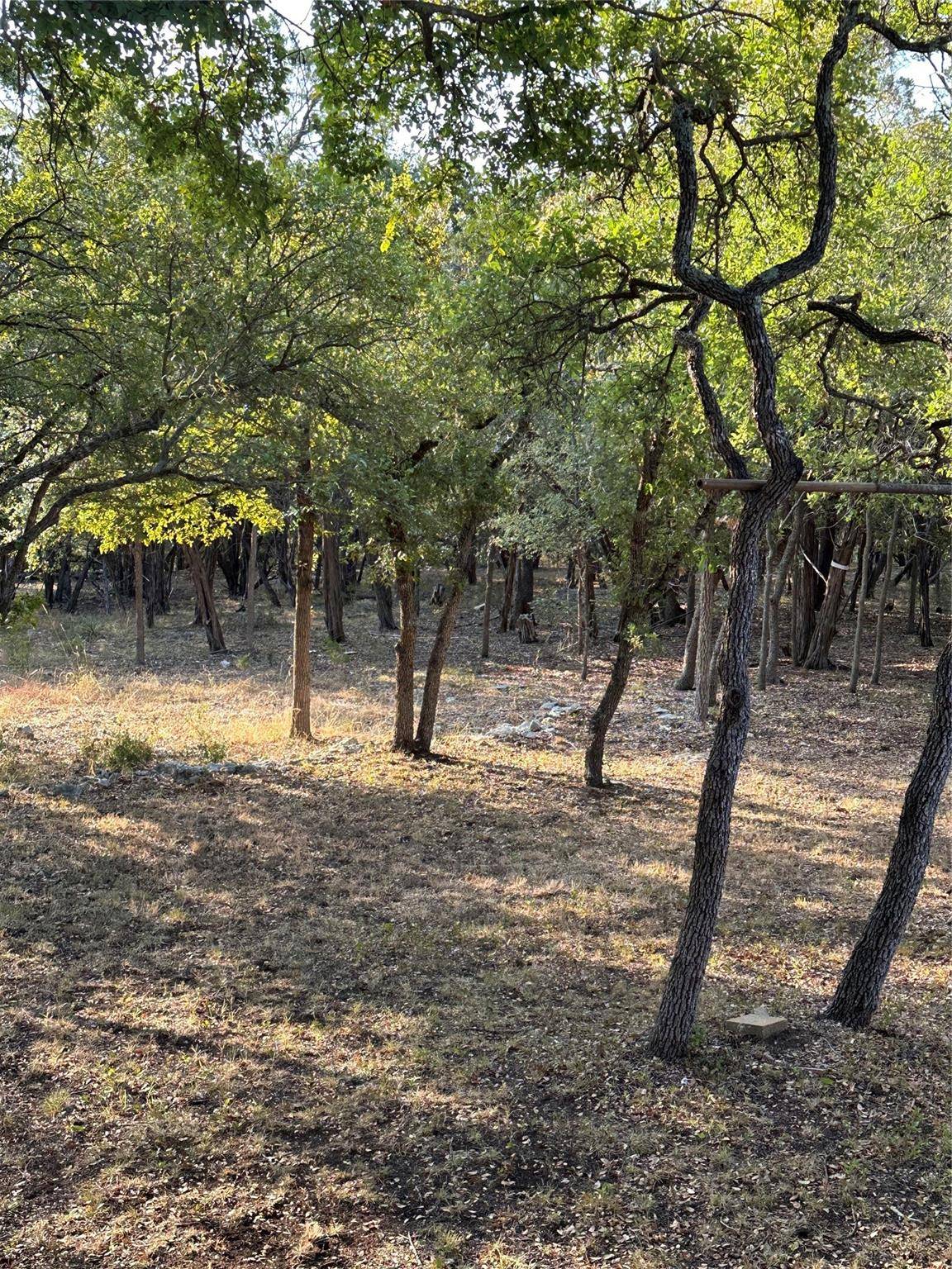 12333A Ranch Rd 12 #1, Wimberley, TX 78676
