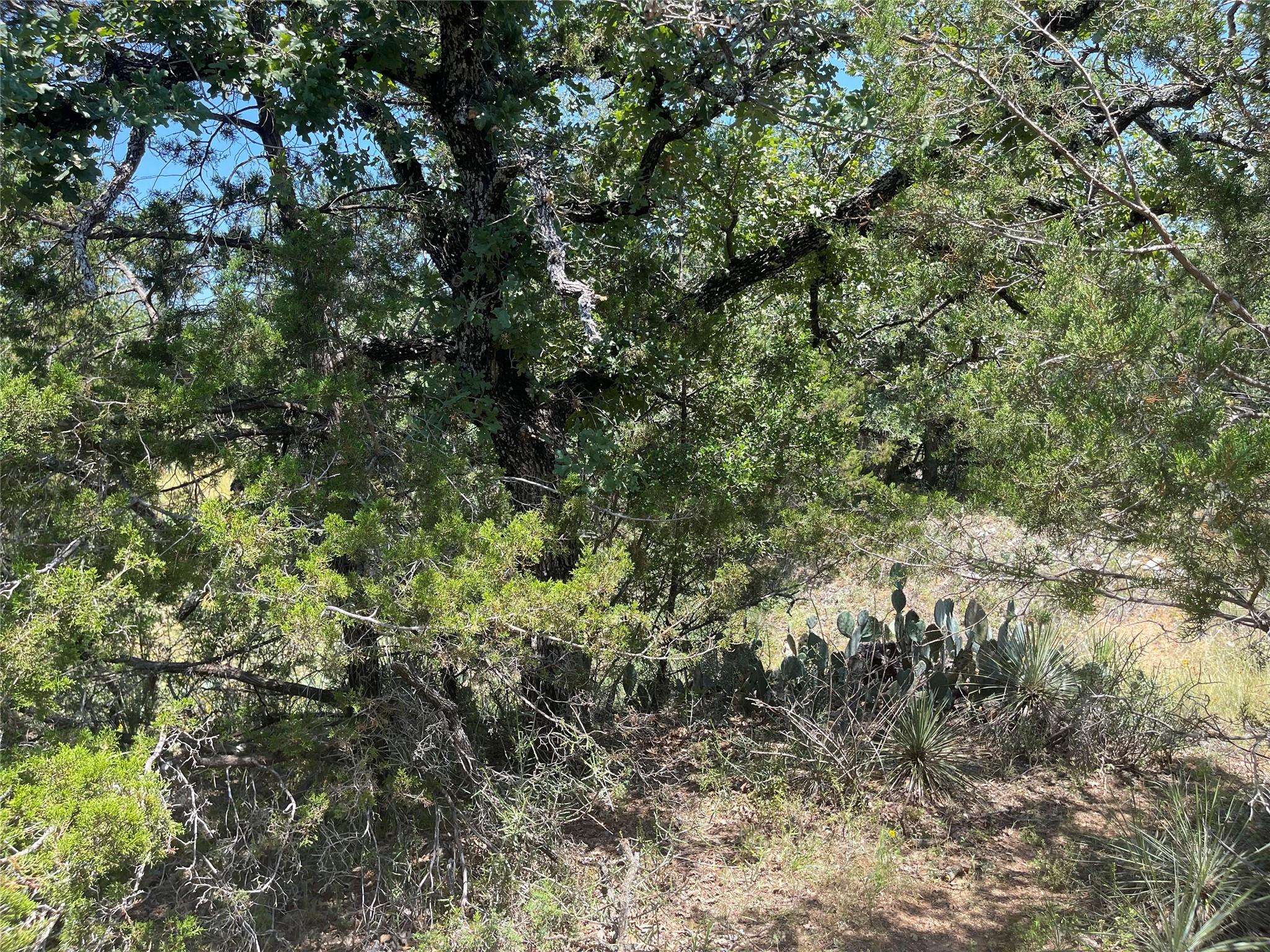 TBD E Castlelakes DR, Granite Shoals, TX 78654