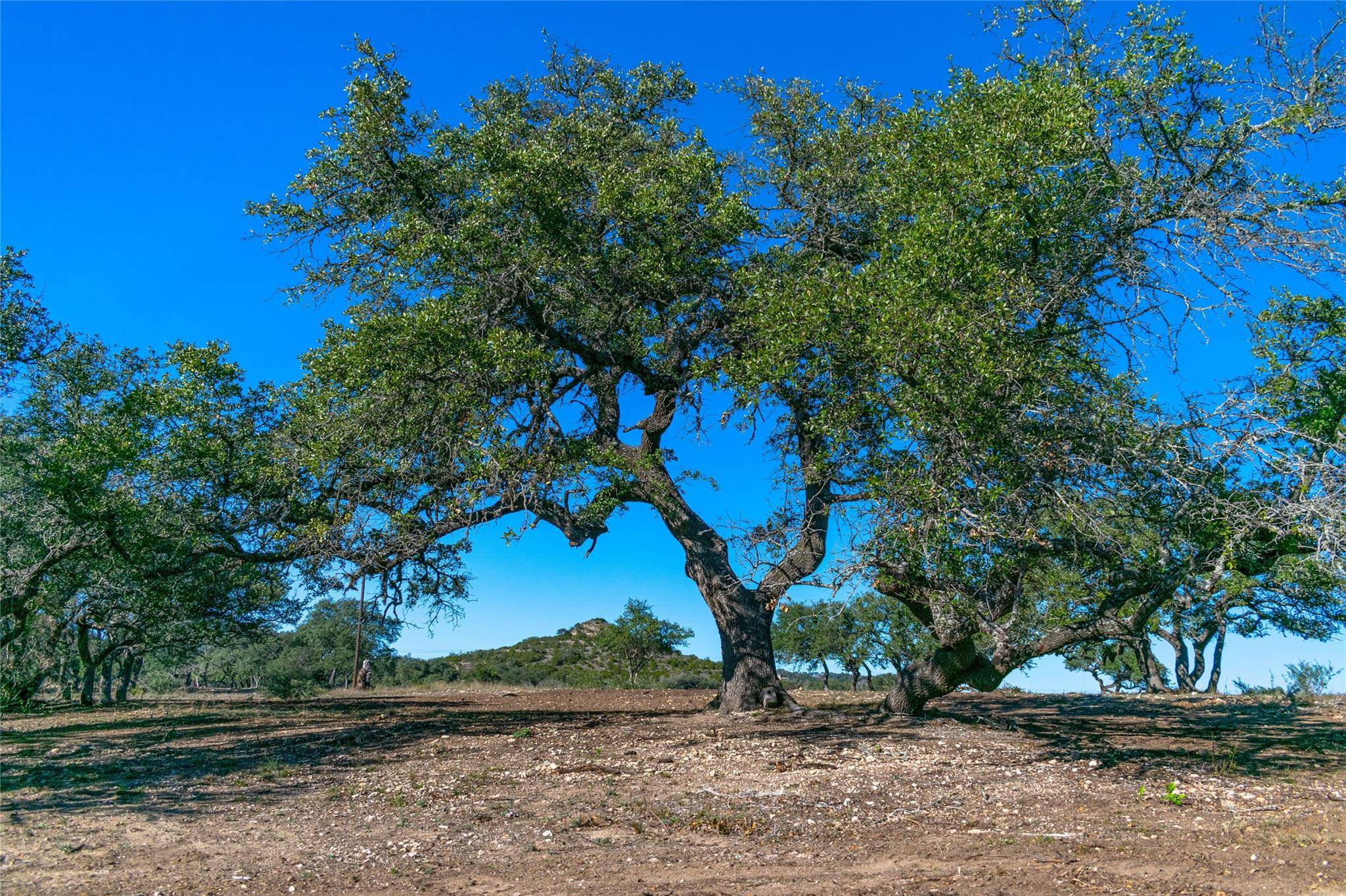 TBD 281 HWY, Blanco, TX 78606