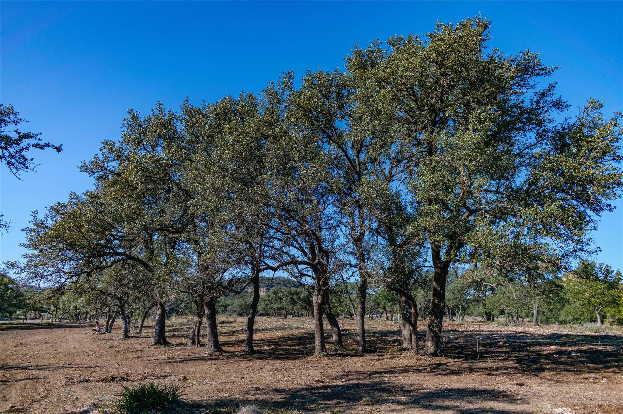 TBD 281 HWY, Blanco, TX 78606