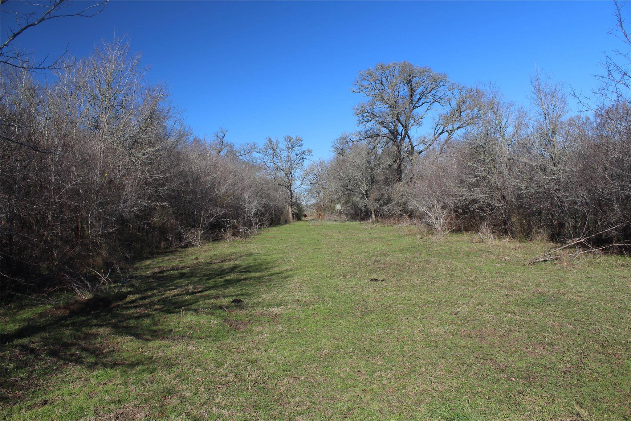 1223 County Road 429, Dime Box, TX 77853