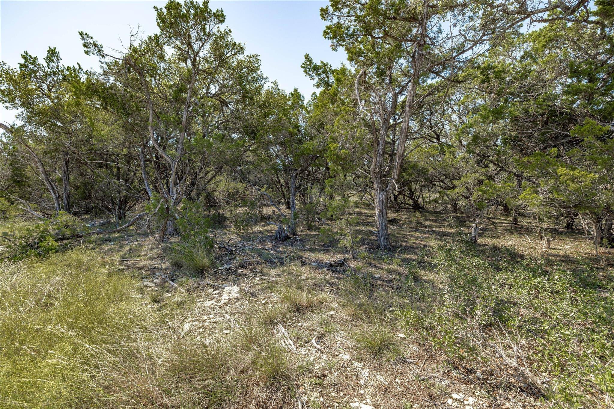 TBD County Road 281 Lot 1, Leander, TX 78641