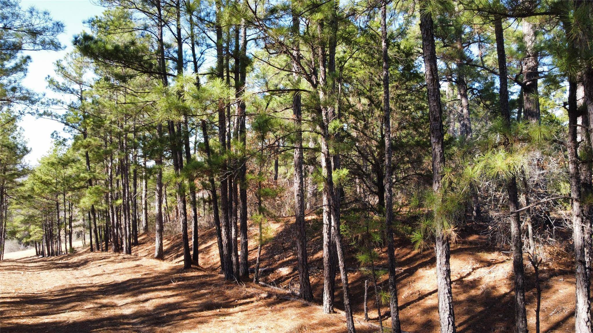 0 Pine Lodge Drive Lot 26, Bastrop, TX 78602