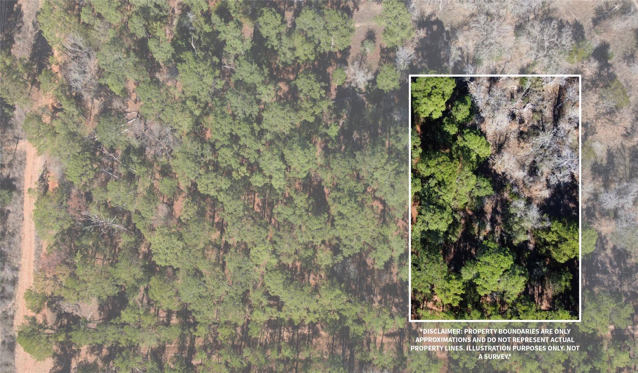 0 Pine Lodge Drive Lot 26, Bastrop, TX 78602