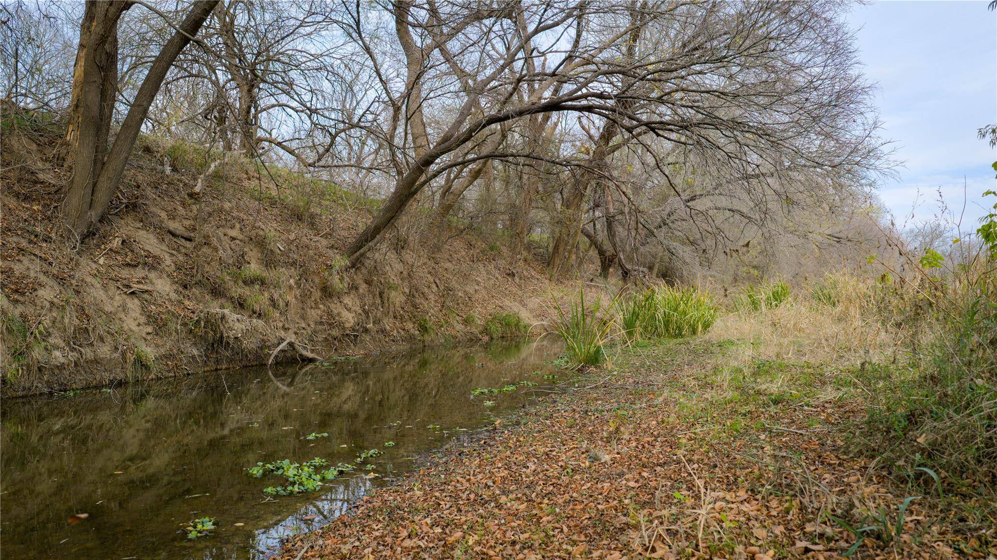 218 Brody LN, Bastrop, TX 78602