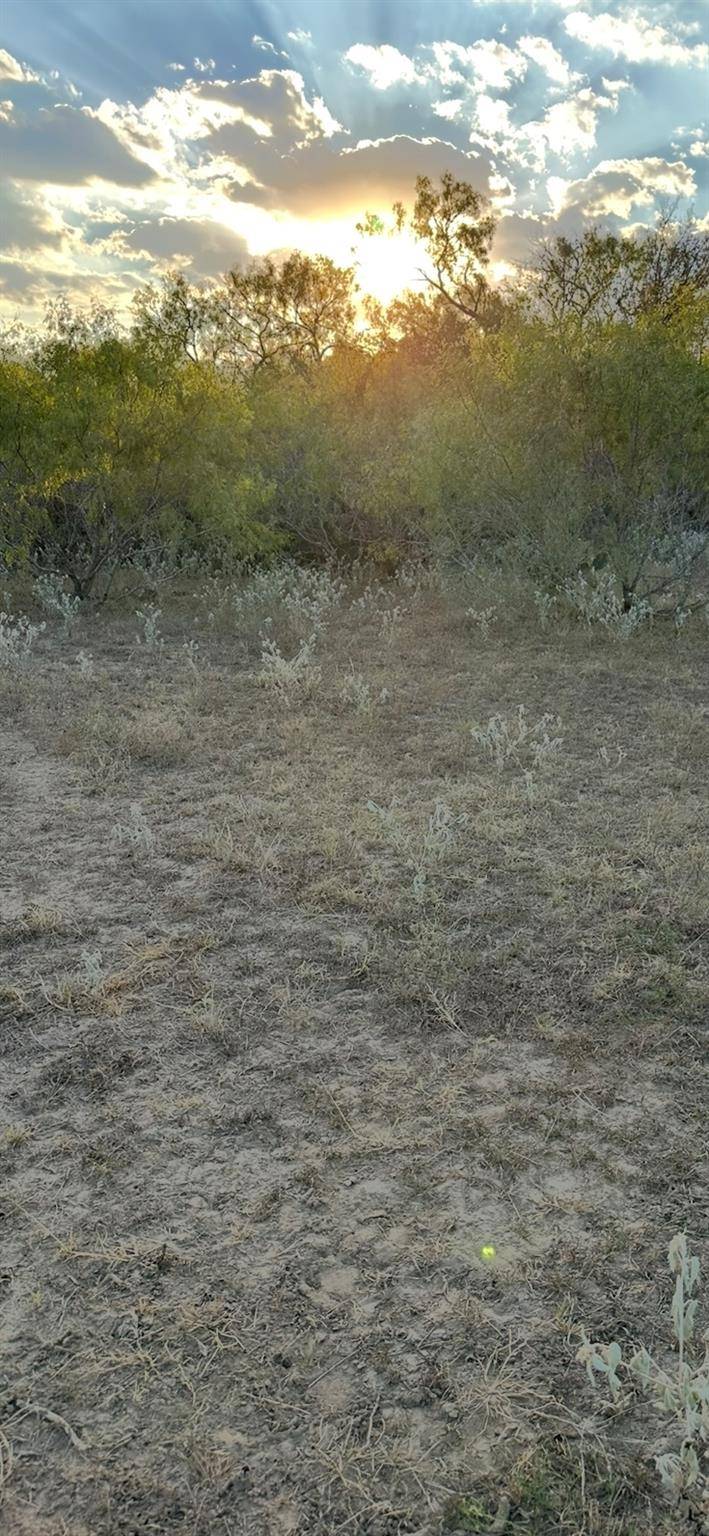 000 Carter RD, Dale, TX 78616