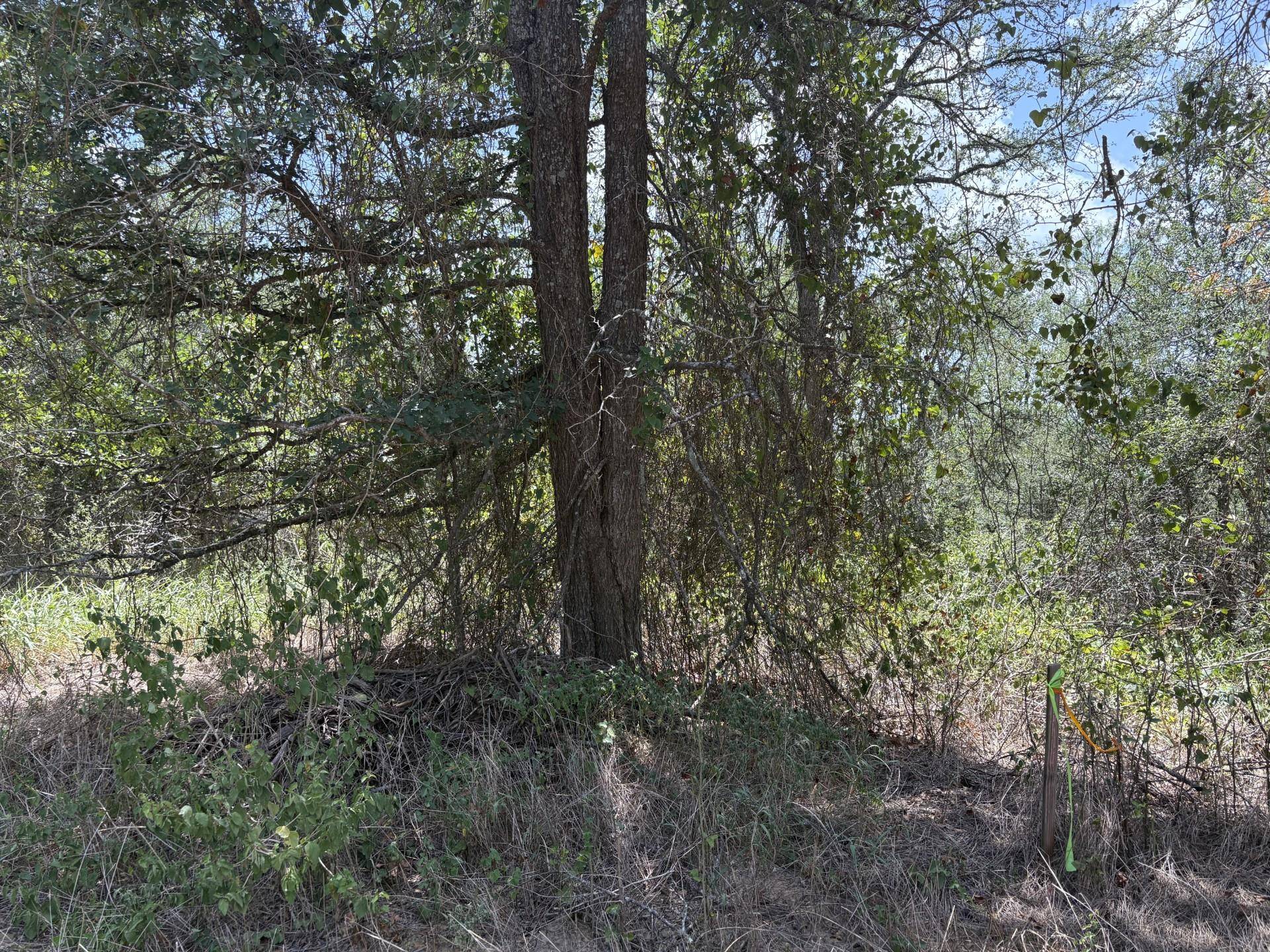 TBD Honolulu LN, Bastrop, TX 78602