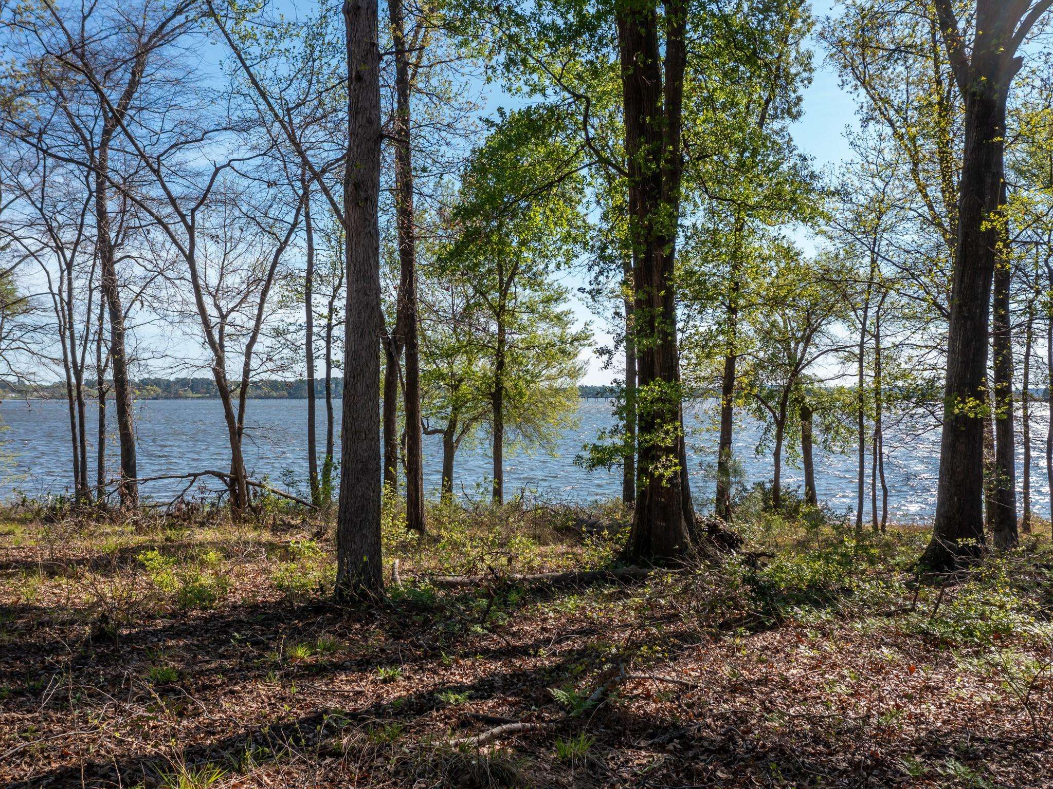 3108 Shadow Pine DR, Larue, TX 75770