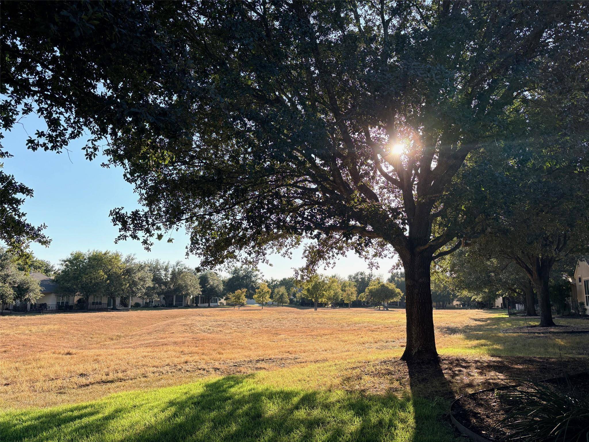 318 Crockett LOOP, Georgetown, TX 78633
