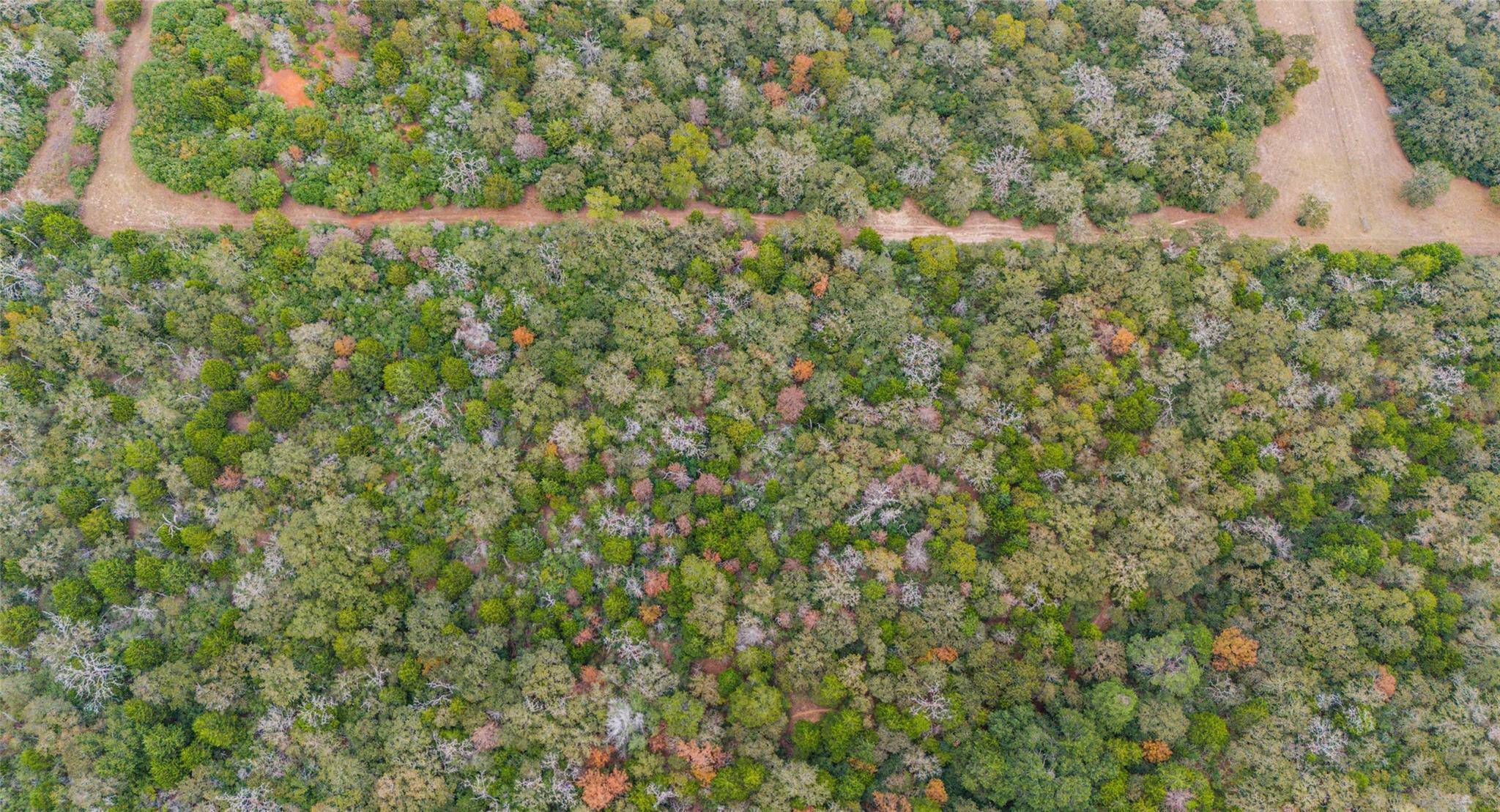 TBD County RD #415, Lexington, TX 78947